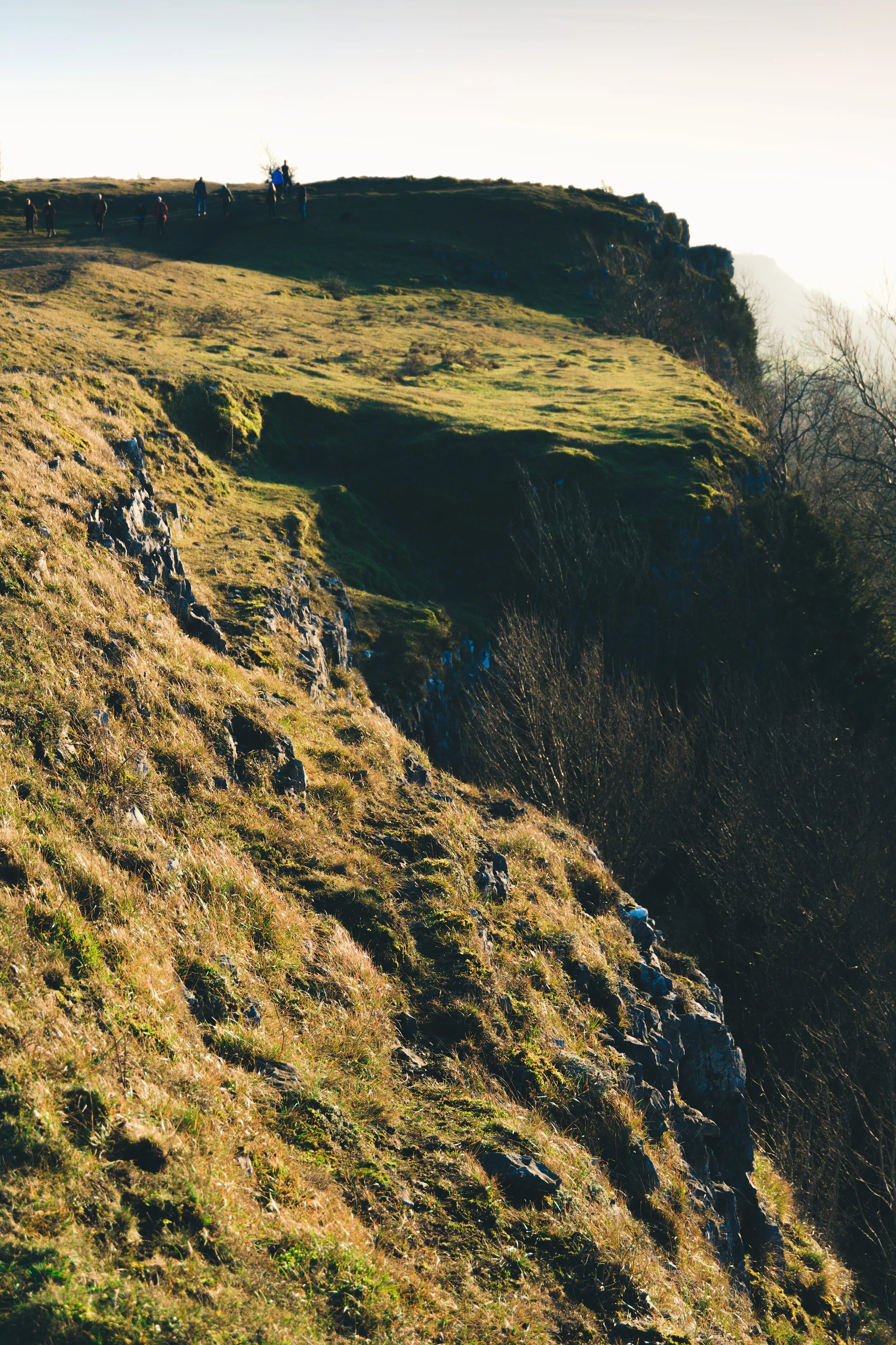 Newyear_Scoutscar 10