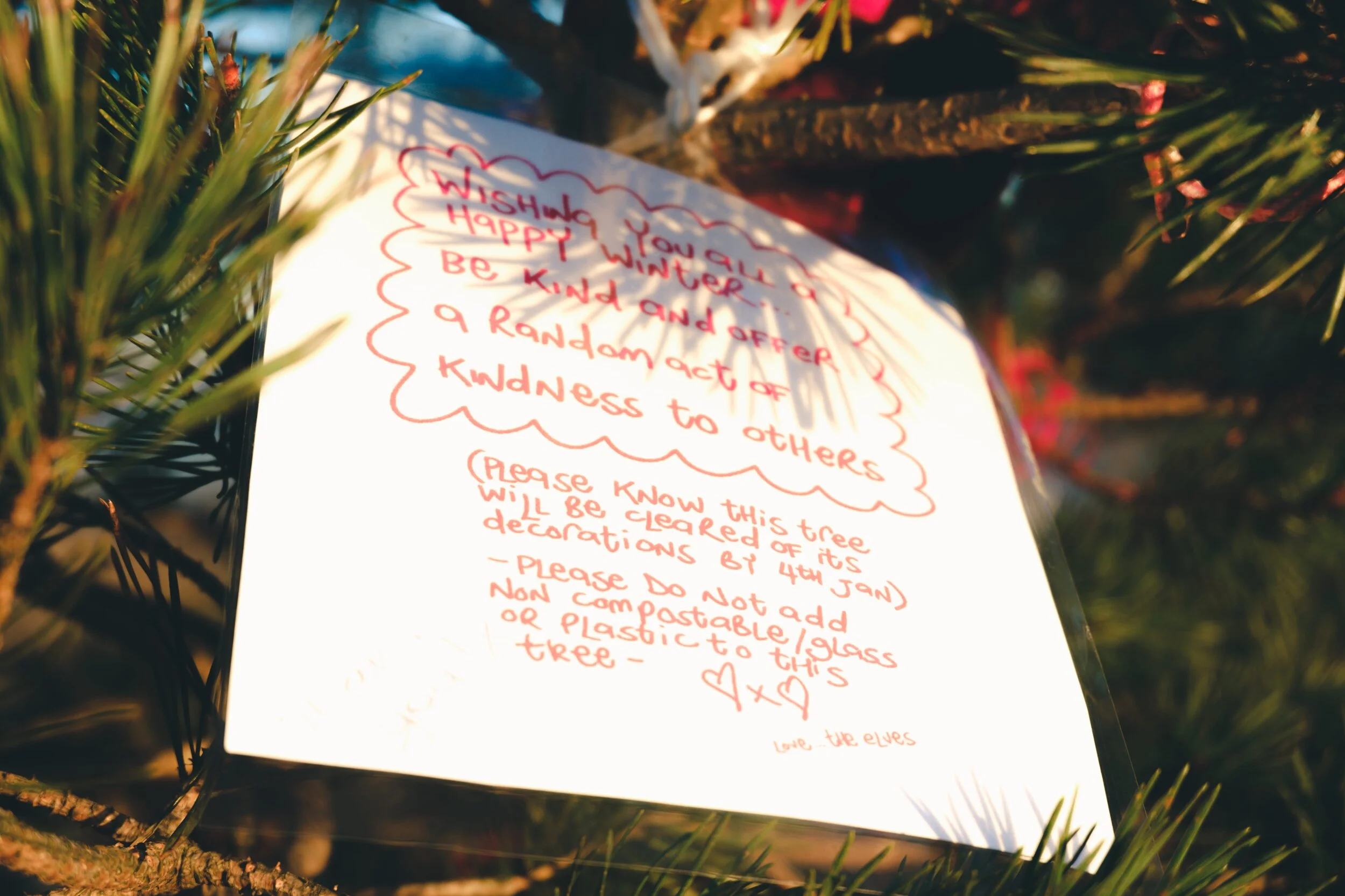 Newyear_Scoutscar 15