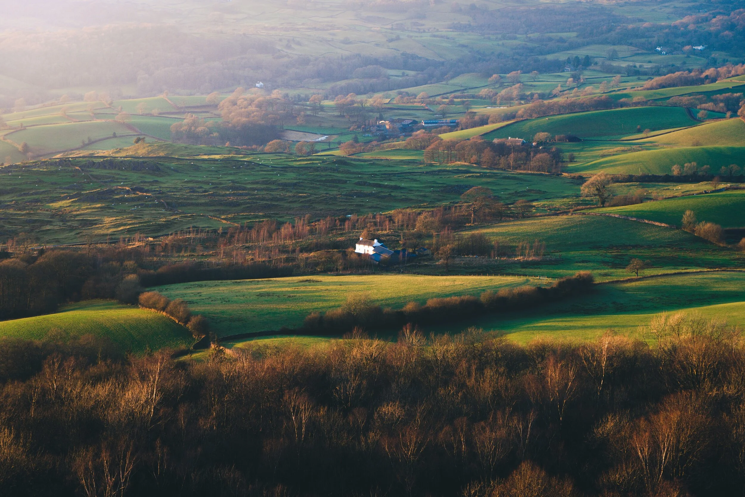 Newyear_Scoutscar 20