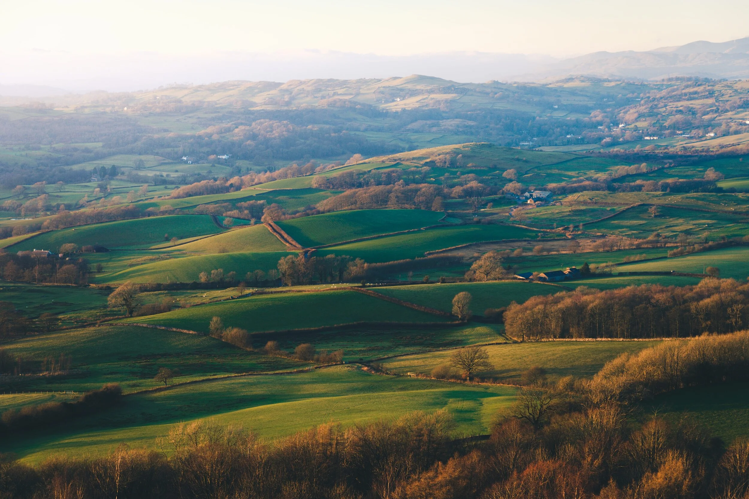 Newyear_Scoutscar 21