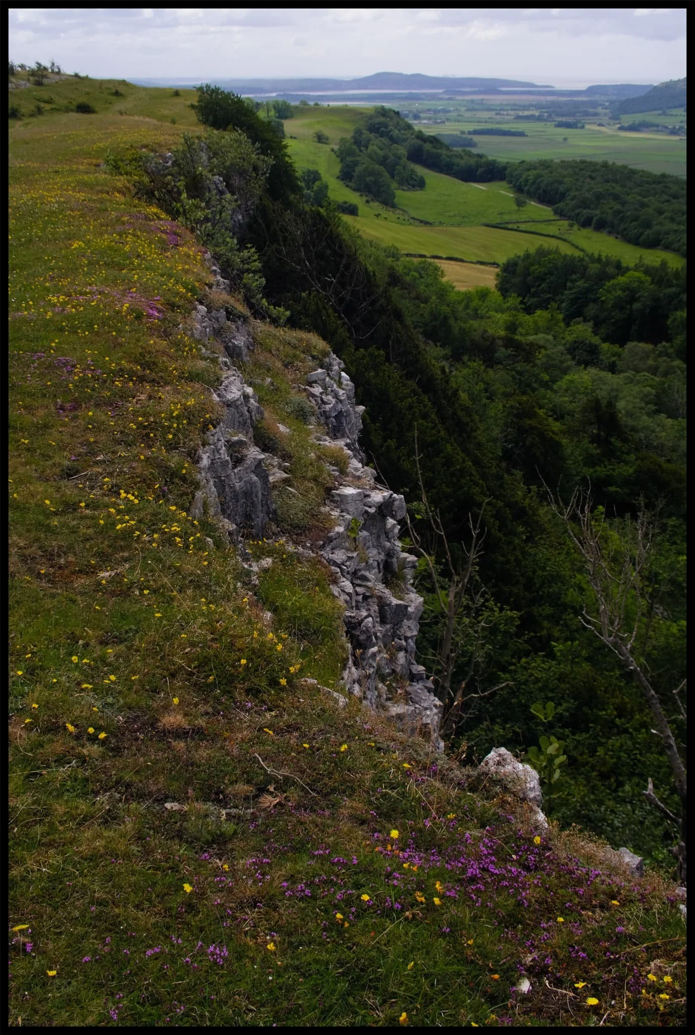  In the distance you can see all the way across the Kent Estuary towards Arnside Knott. 