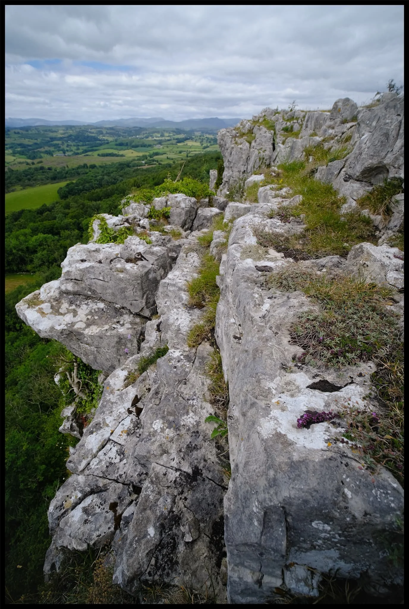  Wonderful shelves of limestone near Hunter&rsquo;s Leap. Just don&rsquo;t look down. 