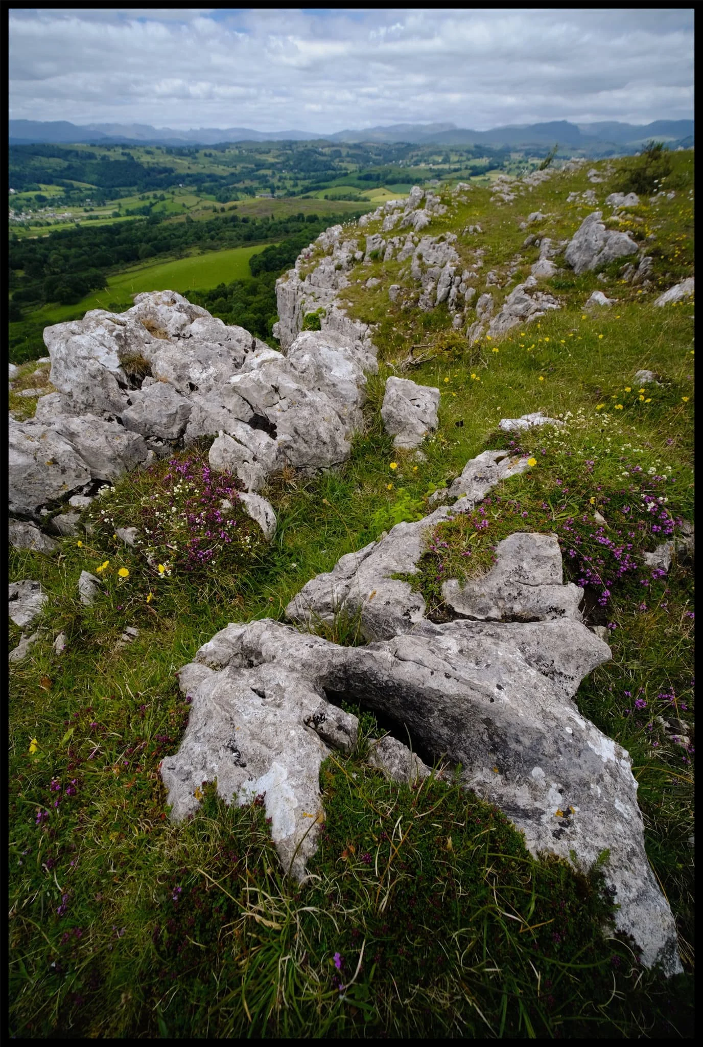  At Hunter&rsquo;s Leap flowers galore decorate the limestone karst landscape. 