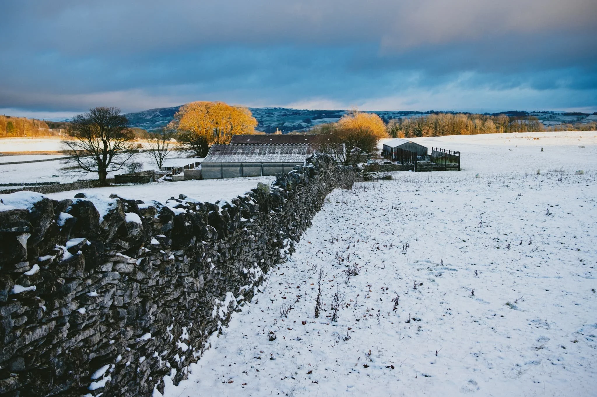  The setting sun managed to creep underneath the gathering clouds, shooting beams of golden light across the tree tops. 