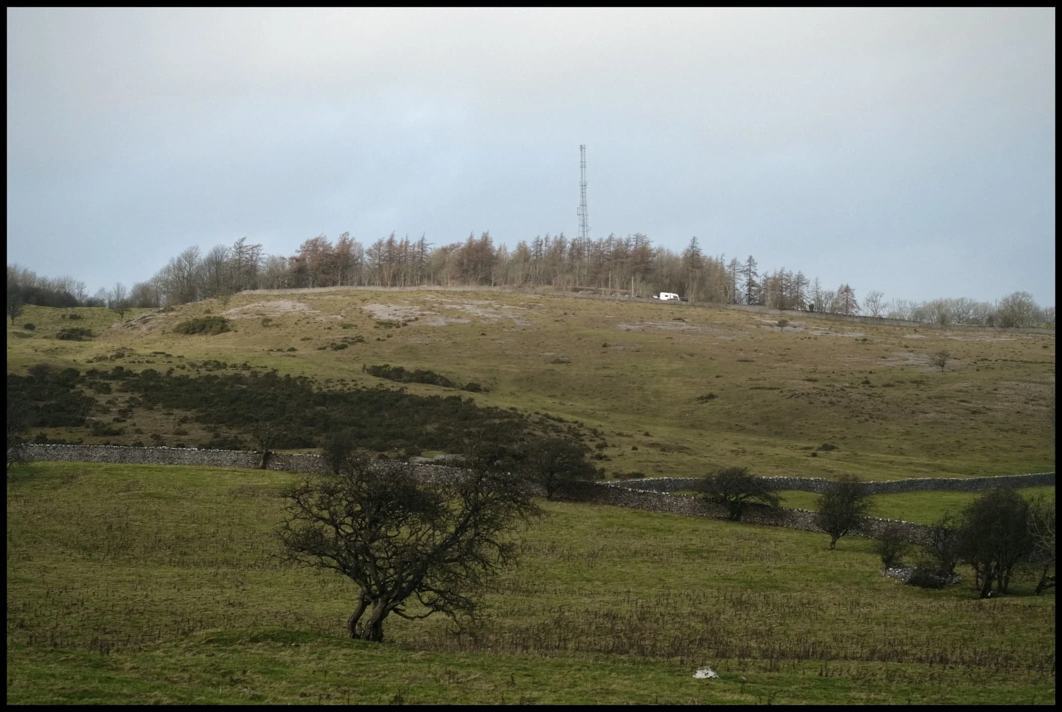  The Scout Scar landscape is one of limestone and sparse clusters of small trees. 