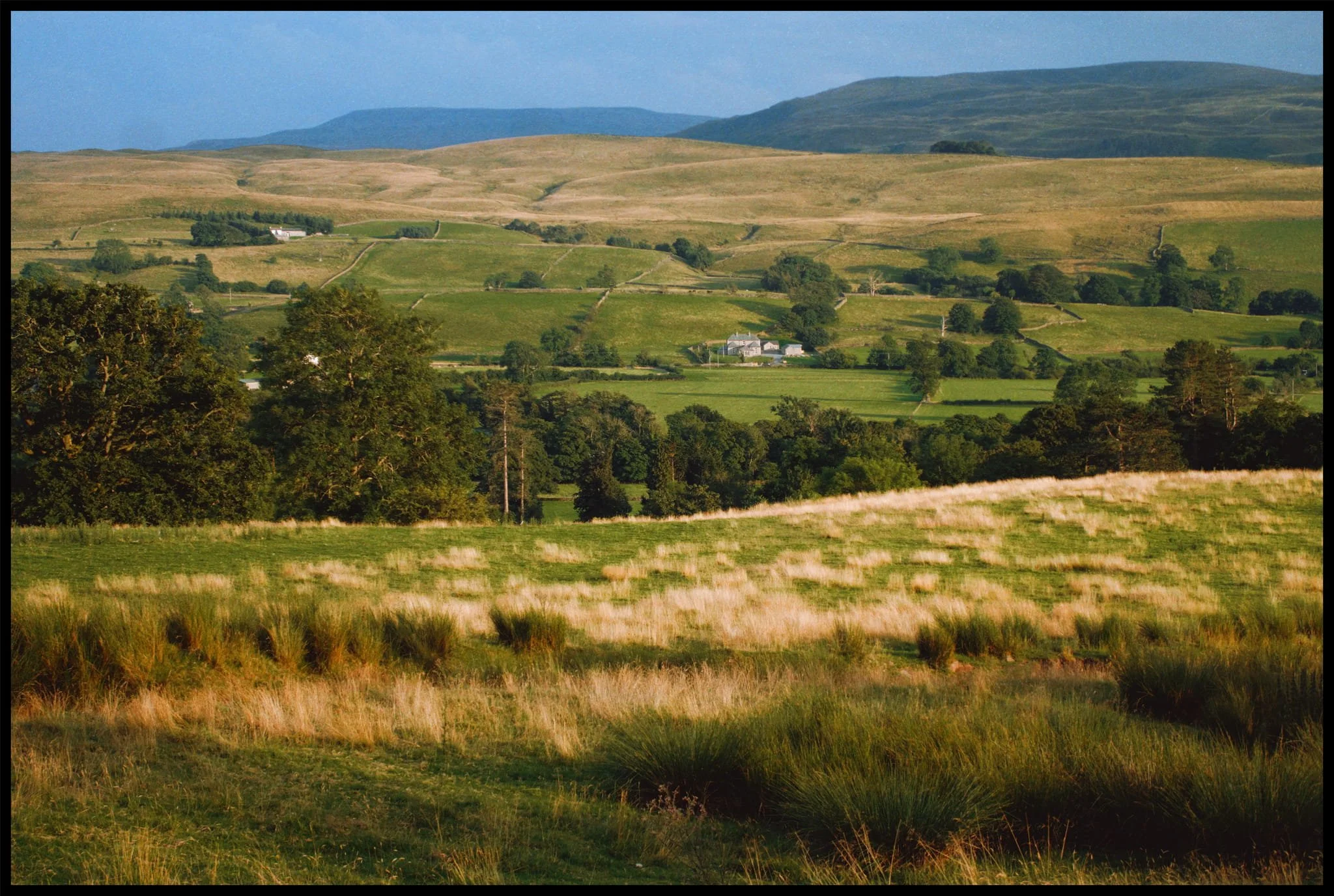  What turned out to be the last of the evening&rsquo;s light finally appeared, illuminating the fields, trees and fellside. It was very localised though, and the Dentdale fells were still dark with rain clouds. 