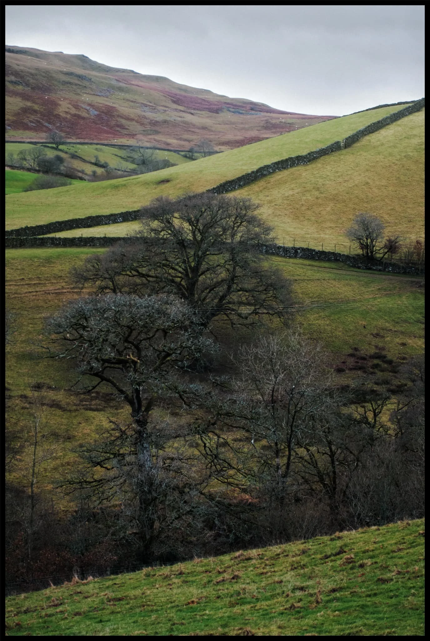  A vertical photo of the same compositional idea. 