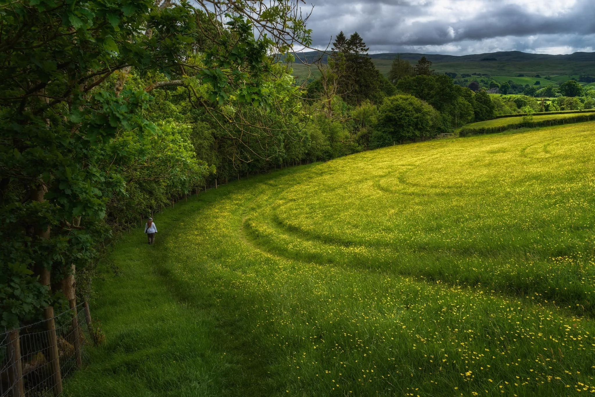  Beyond Buckbank the trail follows the trees above the River Rawthey back to Straight Bridge. Another beautiful meadow lined with farm tracks, with Lisabet ahead, gave me my final composition. 