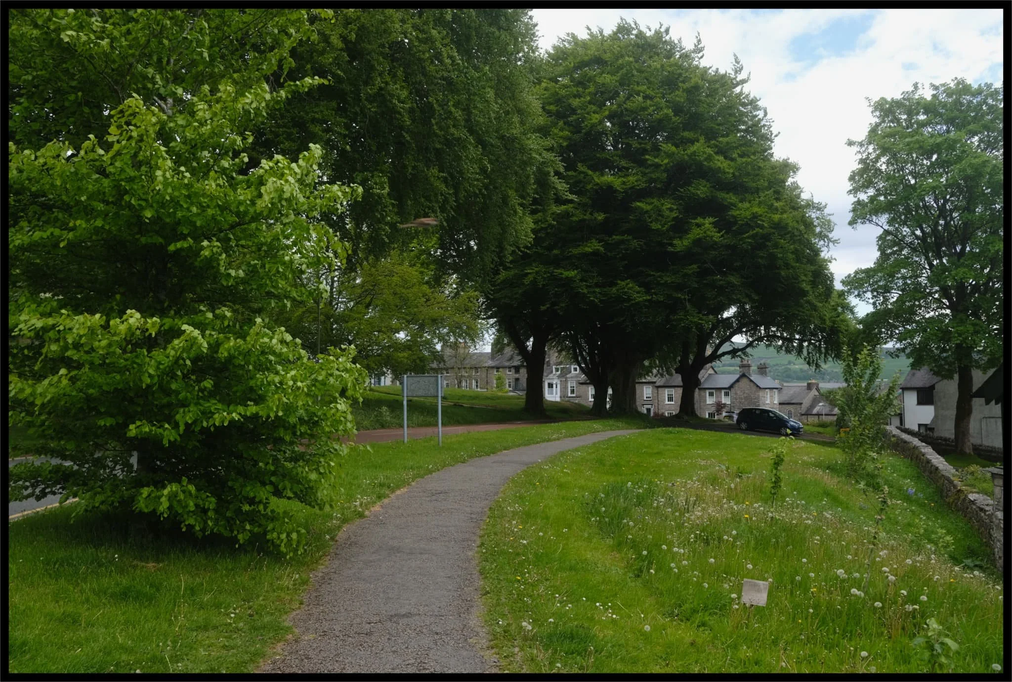  So much green! Our route lies up and to the left. 