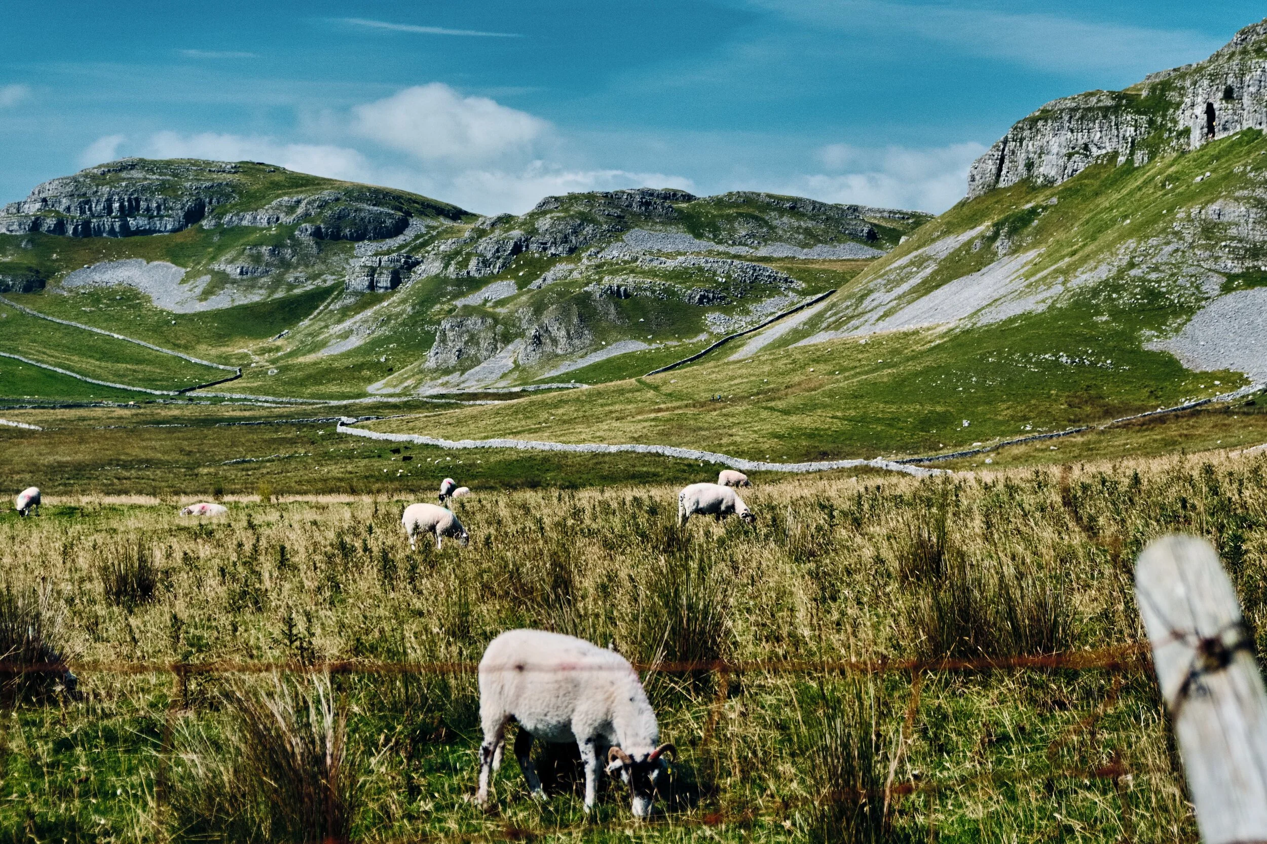  After climbing out of Scaleber Force we follow the footpath signs for Attermire Scar. What we found was an otherworldy scene of limestone crags, sheer cliffs, and multitudinous caves. 