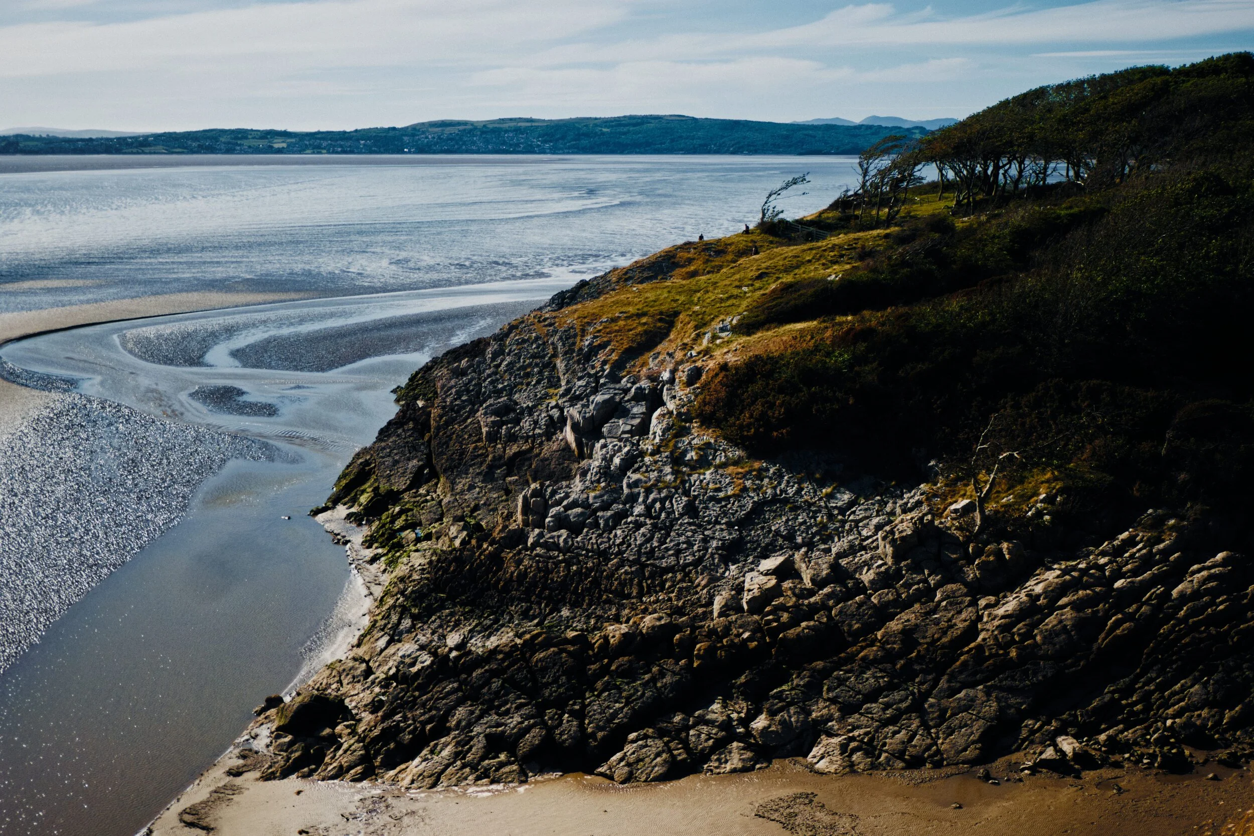  Another feature of Silverdale is the coastal trees, which all lean back away from the sea. This is due to the near-constant battering they get from the winds travelling across the bay and up the coast. 