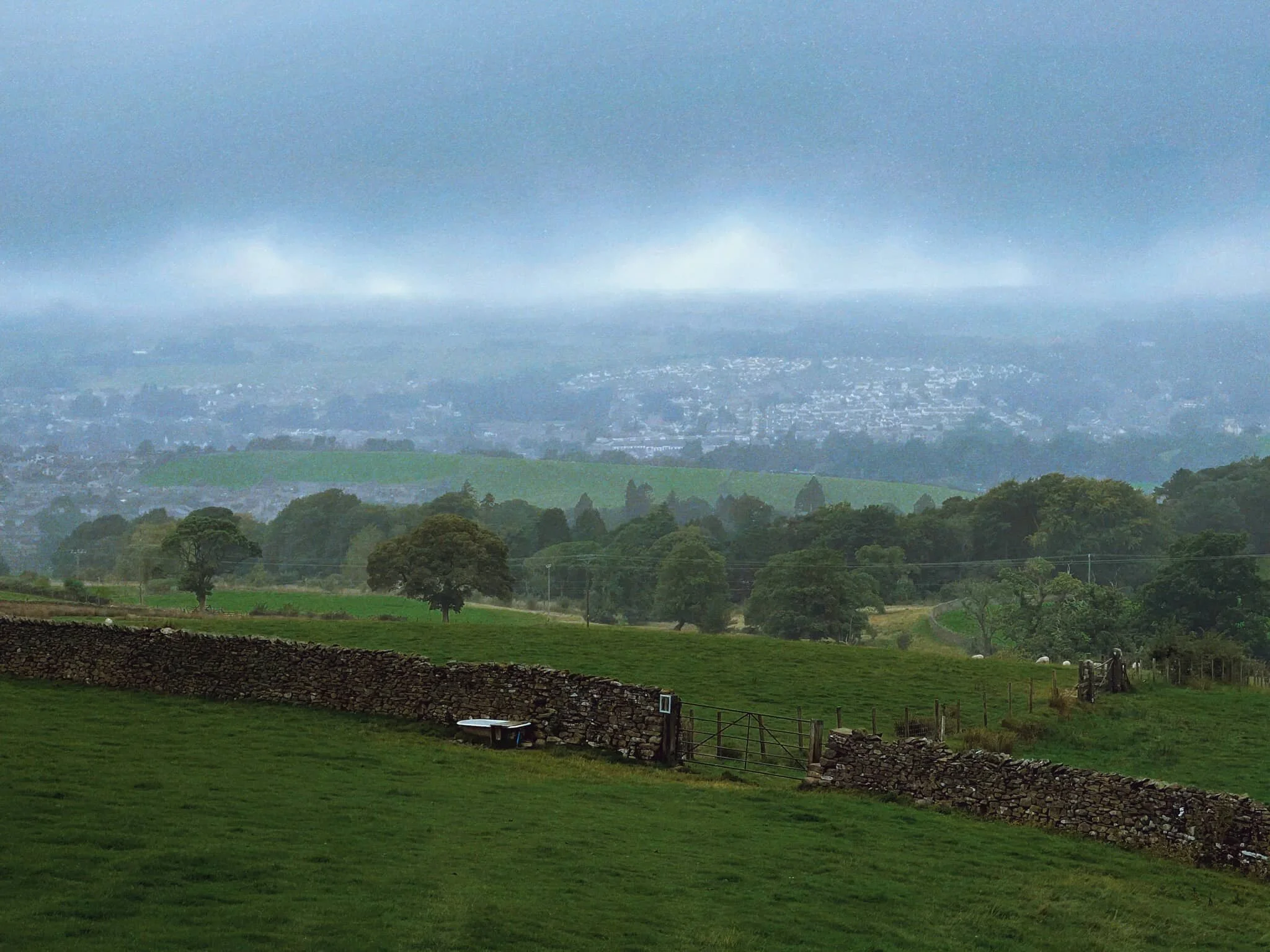  By this point it was better for me to take my glasses off and squirrel them away. 