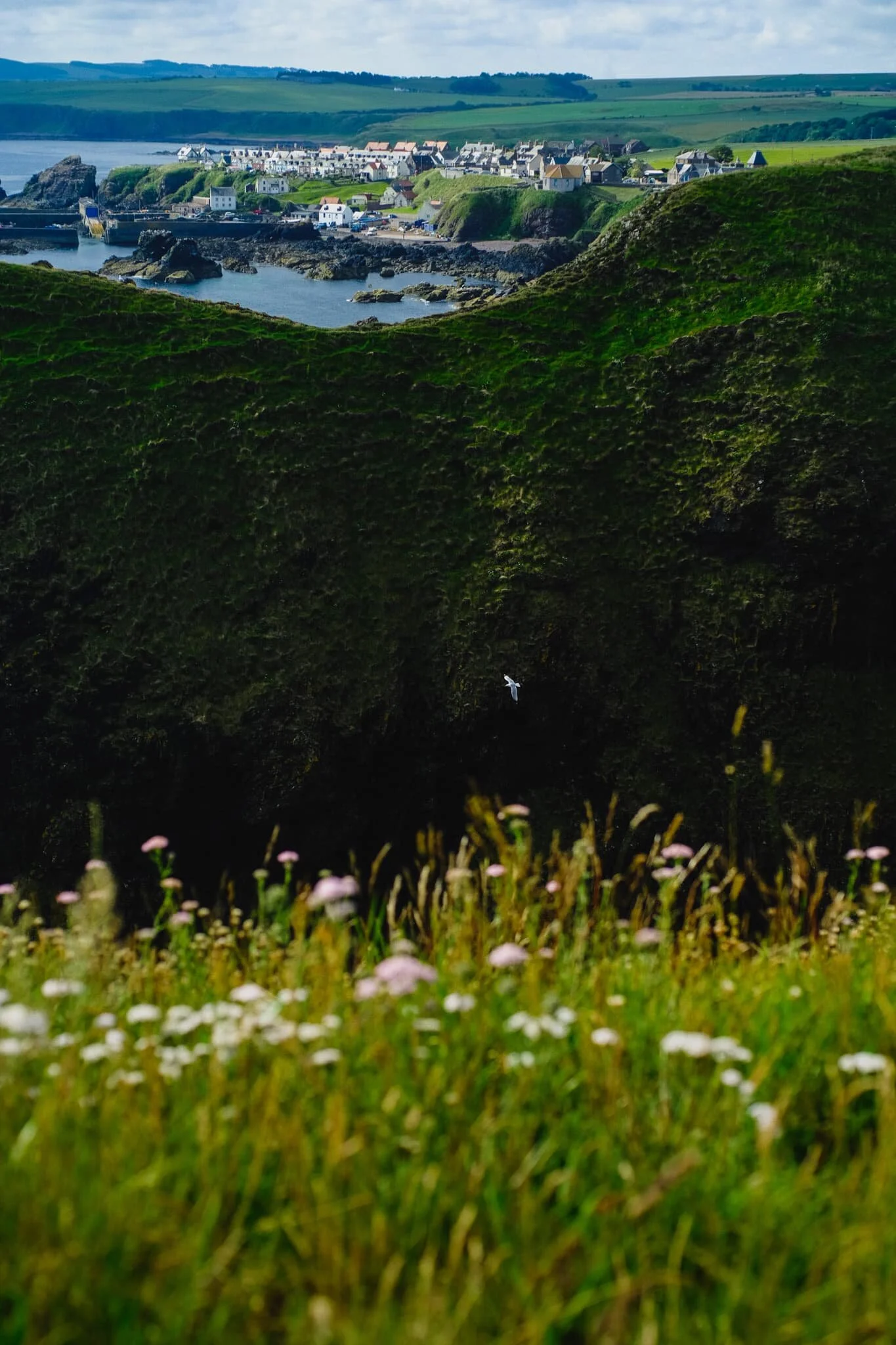  A more…  unusual  composition of the village. Here I nestled next to the cliff edge to get these flowers in the bottom of the photo, followed by the sheer cliff face known as White Heugh, then the village in the distance. I then waited for any of the sea birds to fly into view before pressing the shutter. 