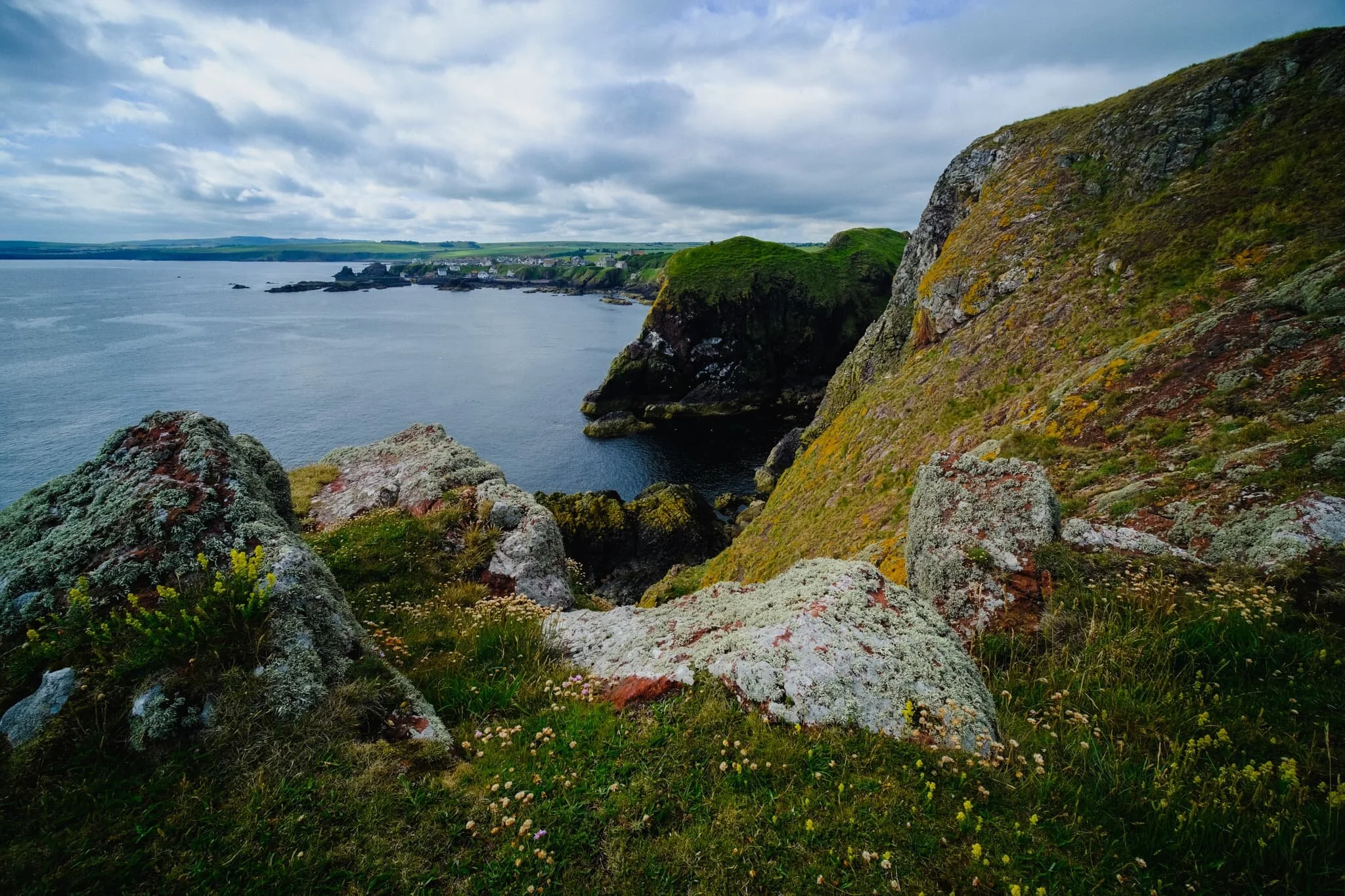  Although I&rsquo;ve been to St. Abb&rsquo;s Head a few times now, I&rsquo;ve never visited in the peak of summer. What I didn&rsquo;t expect was the sheer variety and colour of all the flora around the cliffs. Astounding! Here&rsquo;s the view looking straight down from above Wuddy Rocks towards White Heugh cliff and the distant village of St. Abb&rsquo;s. 