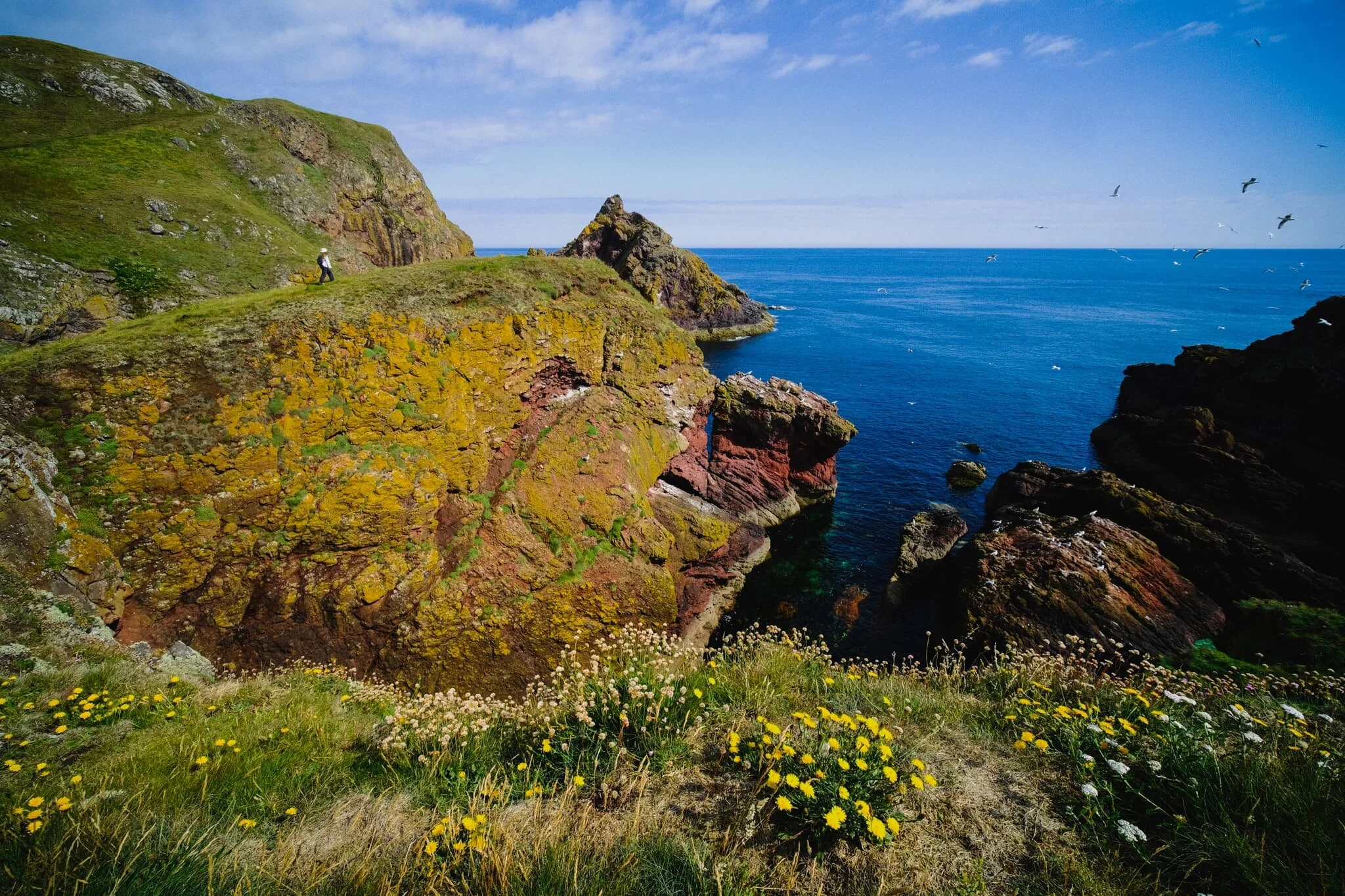  Further around Horsecastle Bay, Lisabet follows a solitary spur, which slightly spooks the birds nesting below. A pick my composition and wait for all the elements to align. 