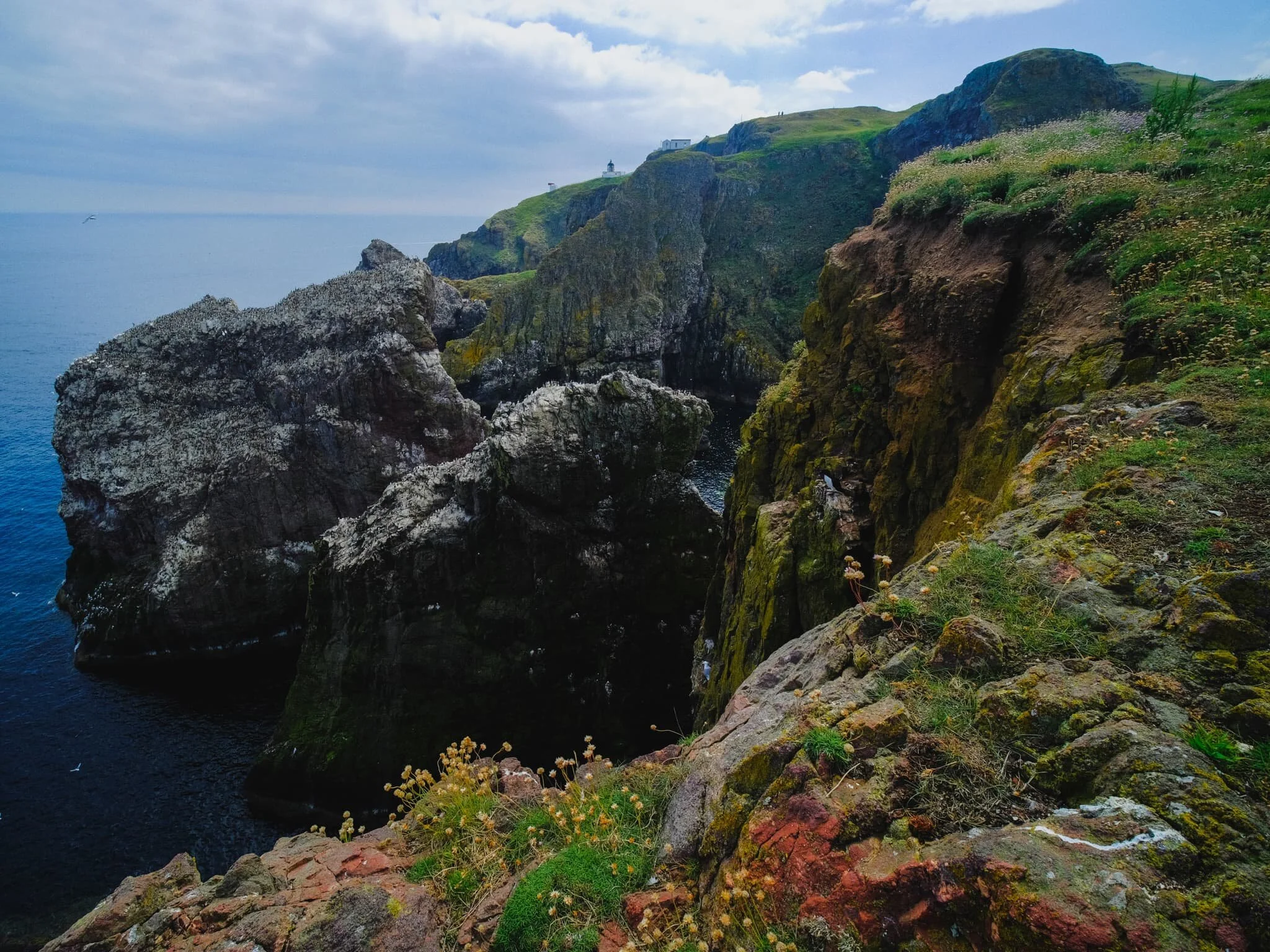  Lisabet and I get more adventurous and follow this particular spur all the way down and out towards the edge. I lay down and nab this composition looking back up to the sea stacks, the cliffs, and the lighthouse, all in one. 