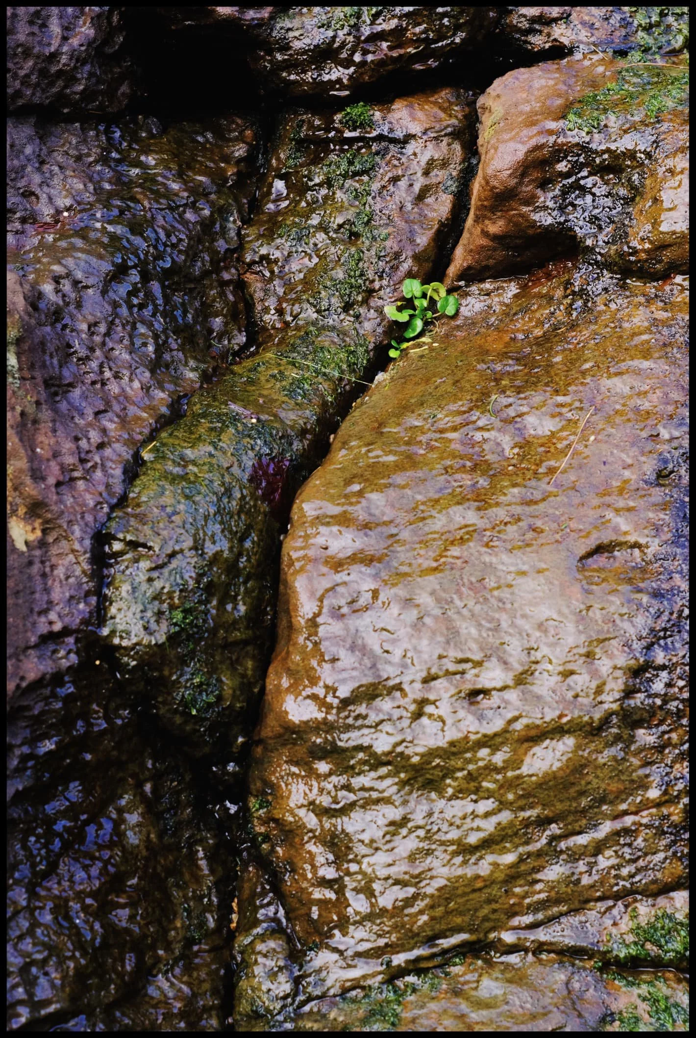 Fullsizerender 26 Compressed