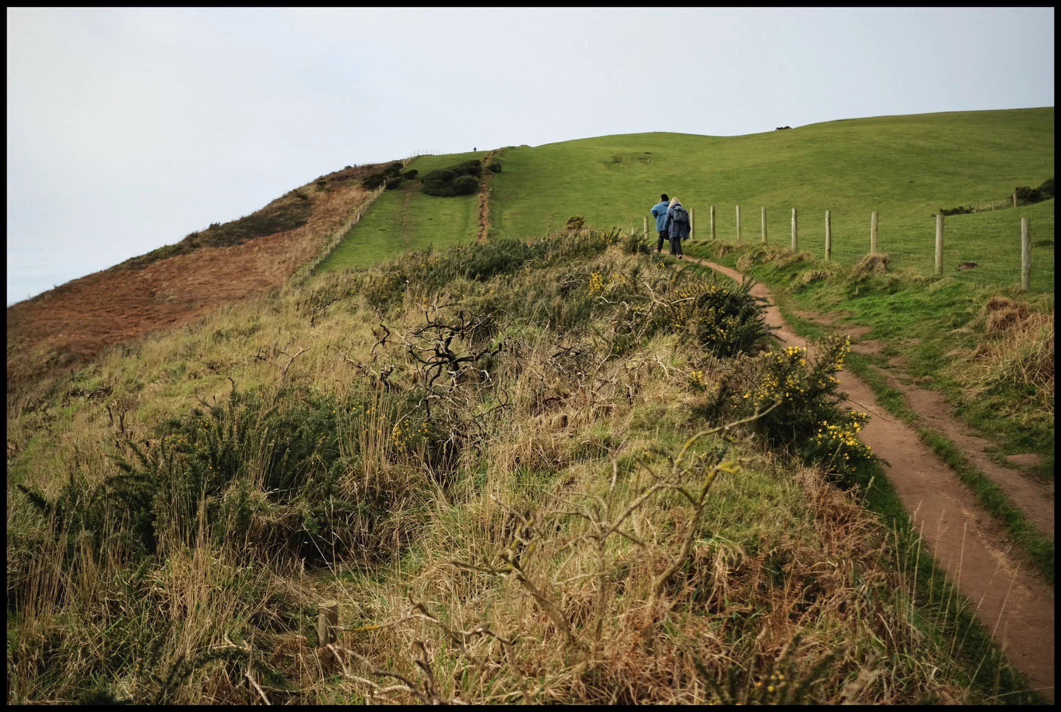  The first section up to the top of the South Head is quite the pull. 