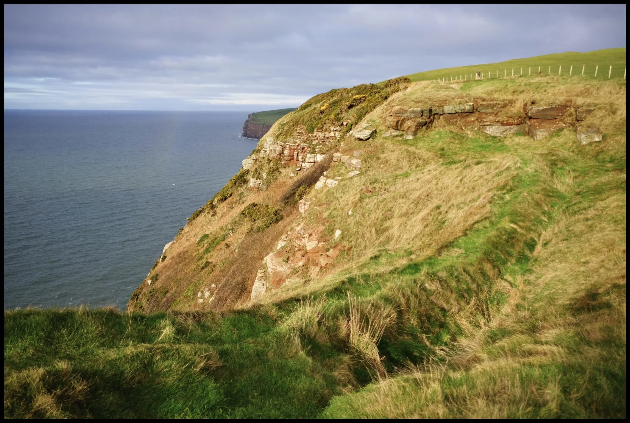  Near the old coastguard lookout, a fantastic view towards the headland&rsquo;s sheer cliffs and Fleswick Bay beyond is possible. The path used to follow this cliff top quite closely, but erosion has meant the path has moved further inland. 