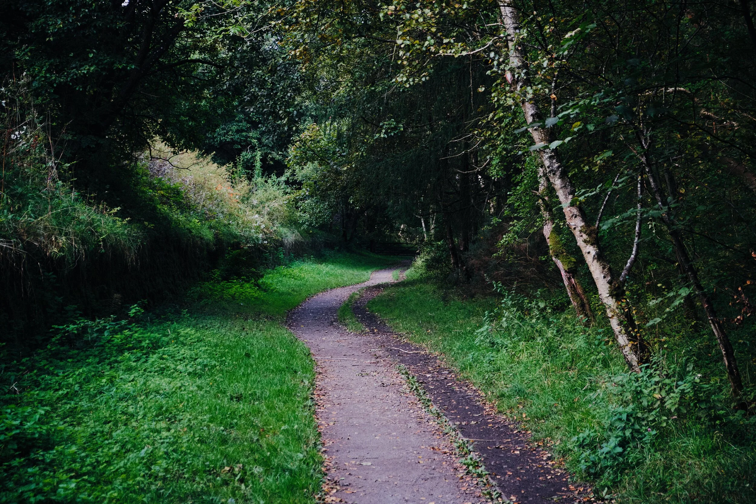  From the bridge we followed the North Viaduct trail east. The trail follows the old South Durham & Lancashire Union Railway, which was setup in the 1850s to transport coke (the fuel kind) to Barrow-in-Furness&rsquo; iron furnaces. The railway was dismantled in the 1970s. 