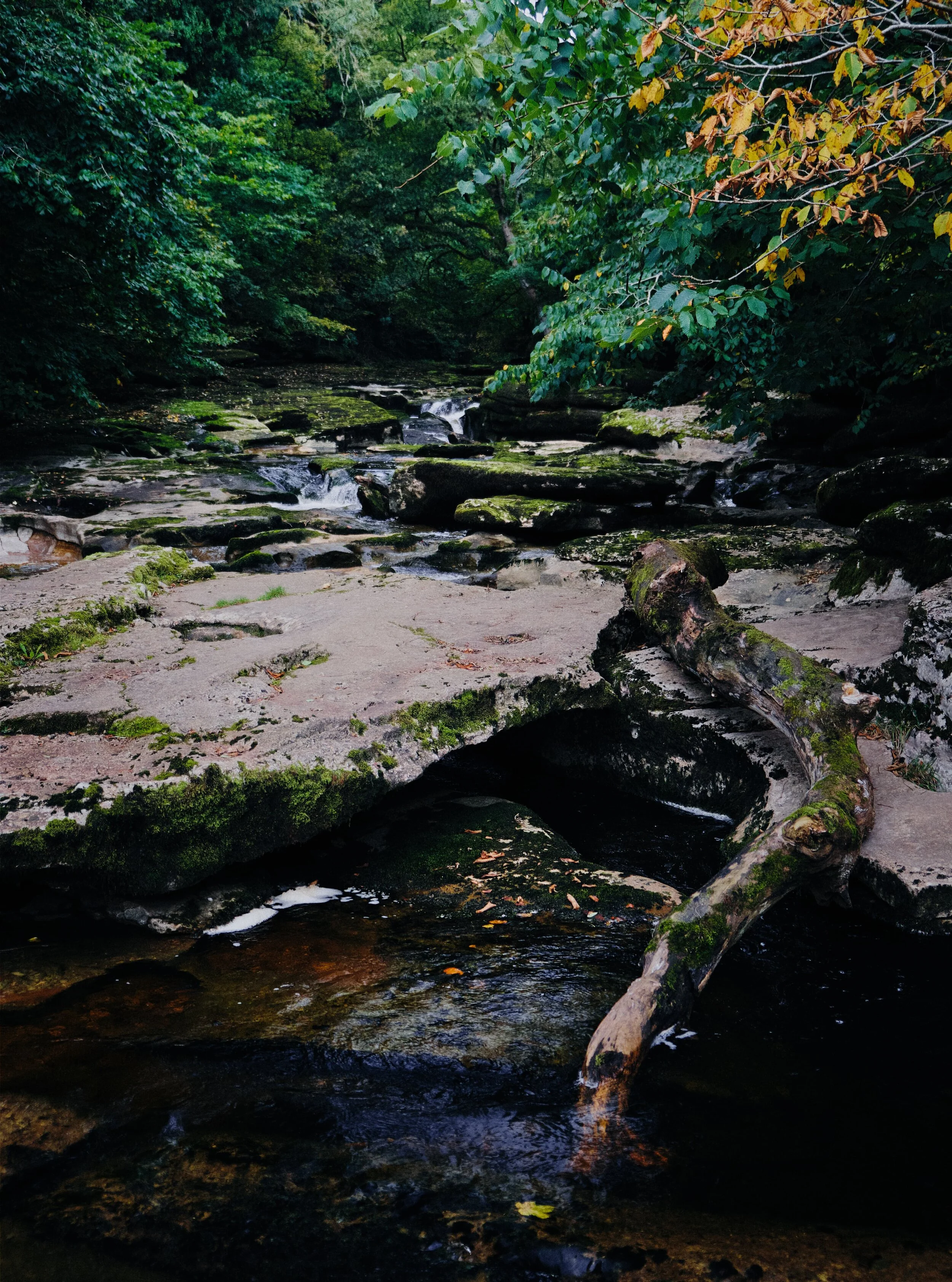  Autumn&rsquo;s quickly on its way. 