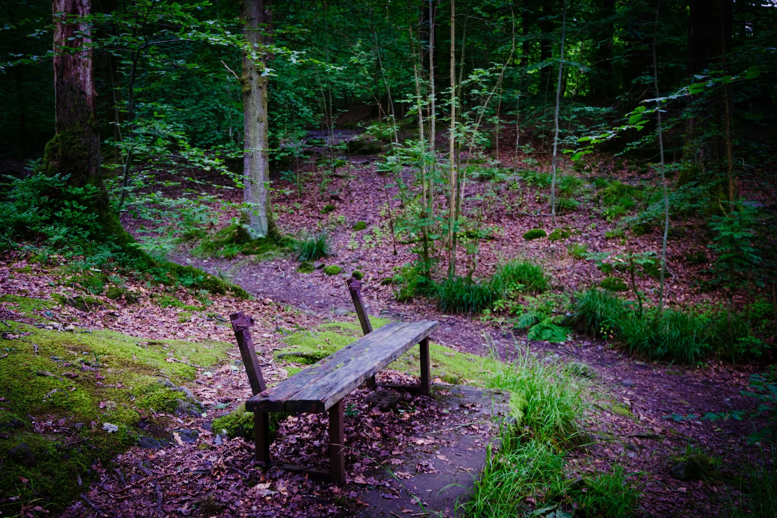 Dscf1700 Enhanced_Edit Export