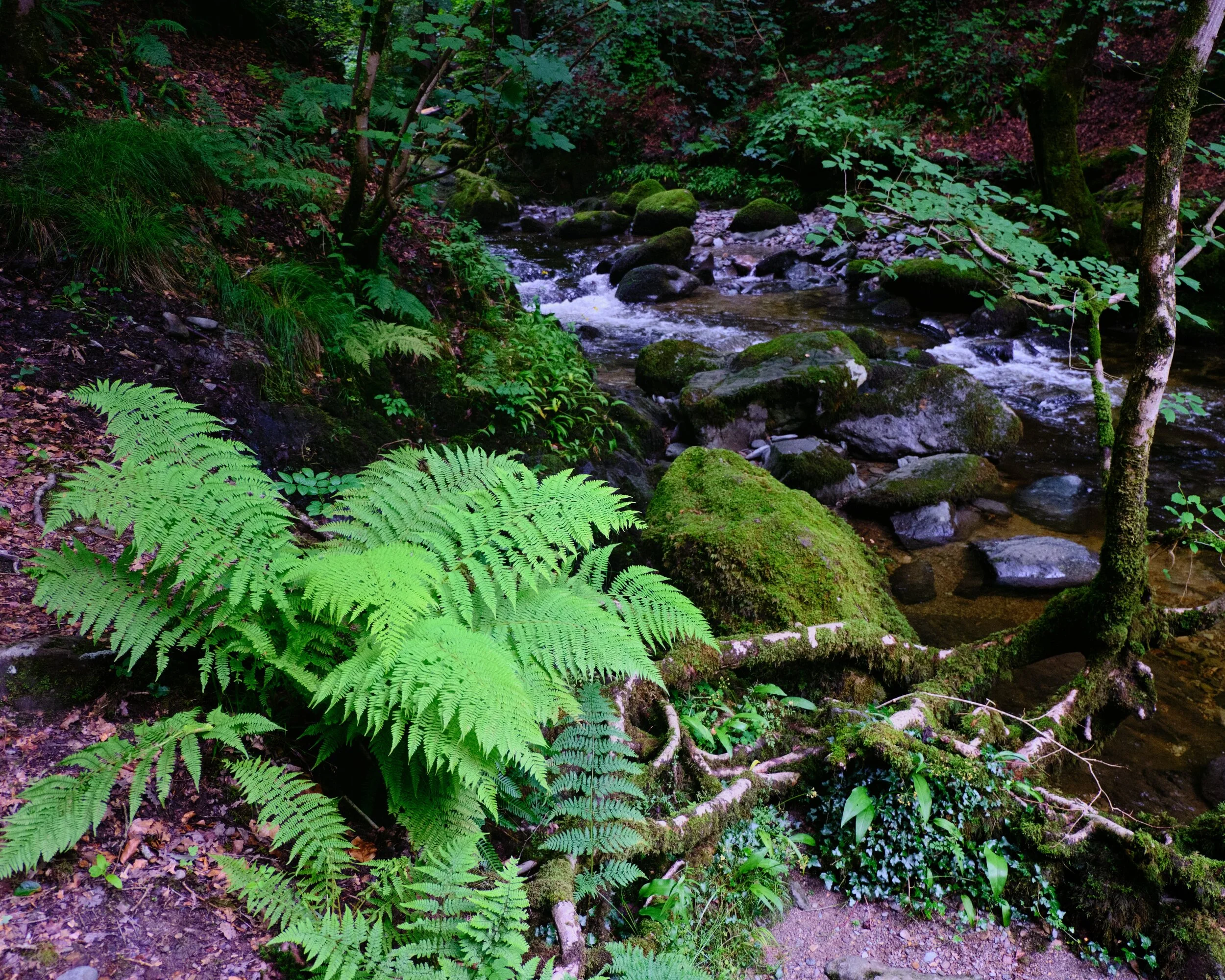 Dscf1706 Export Export