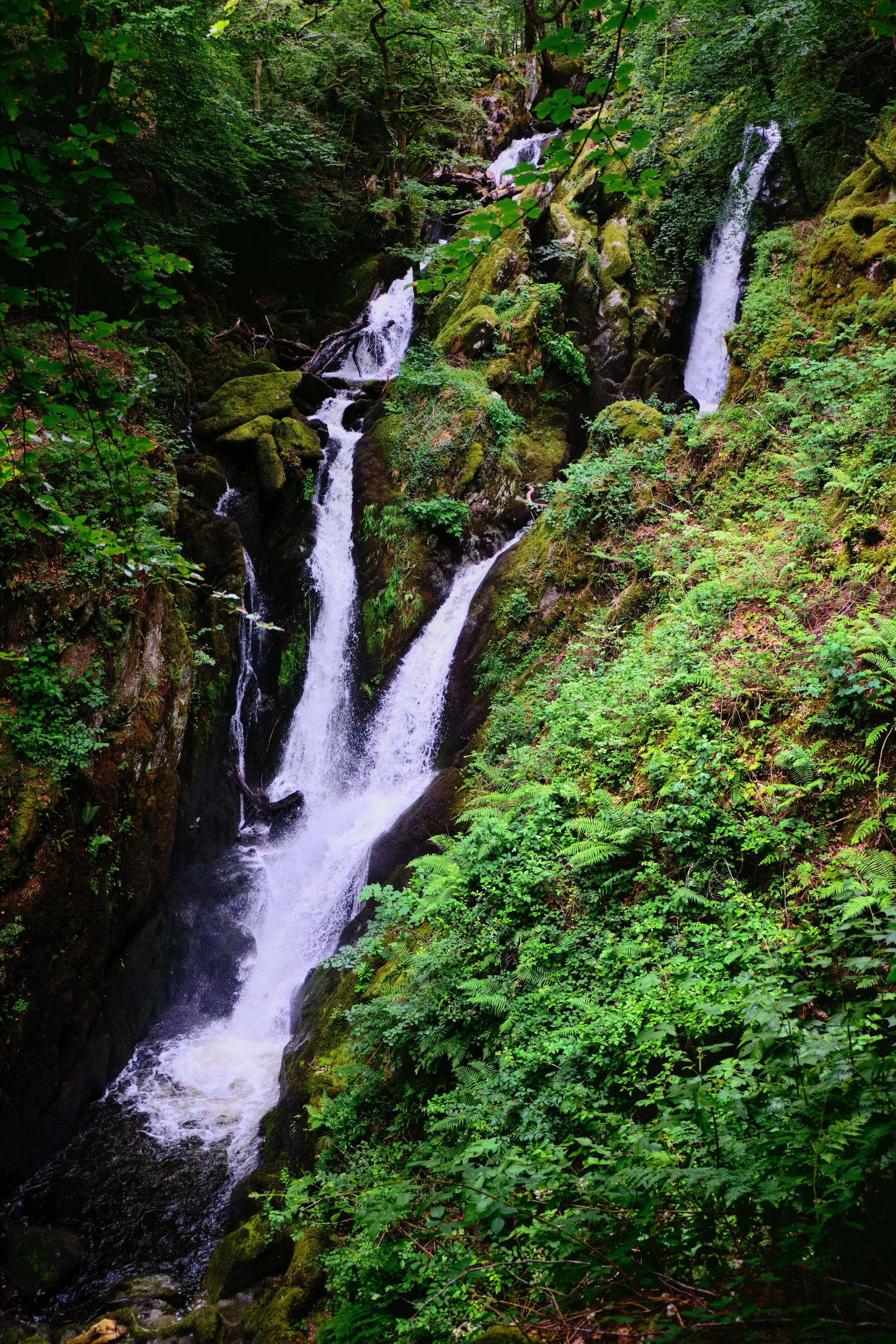  One of the more popular and accessible views of Stock Ghyll Force. It&rsquo;s classical profile is in view here, showing two falls becoming one, but after enough rain there&rsquo;s usually a 3rd waterfall to the left. You can just make out its trickle here. 