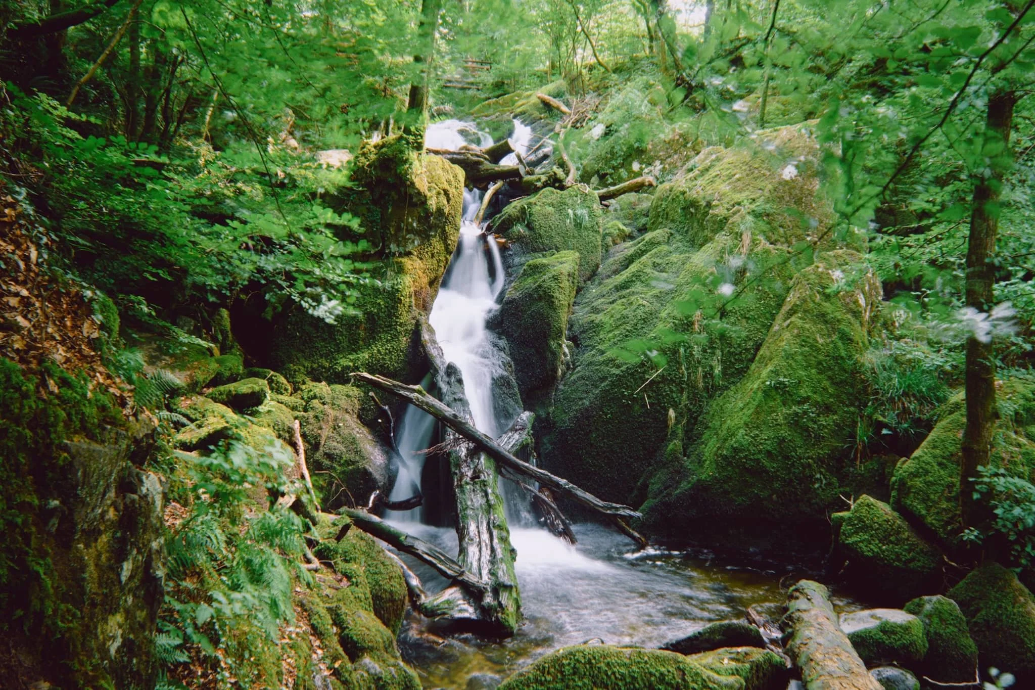 Rni Films Img 50C3C1F4 Fe6A 4652 Bbca 01B9F1Efaaf0 Compressed