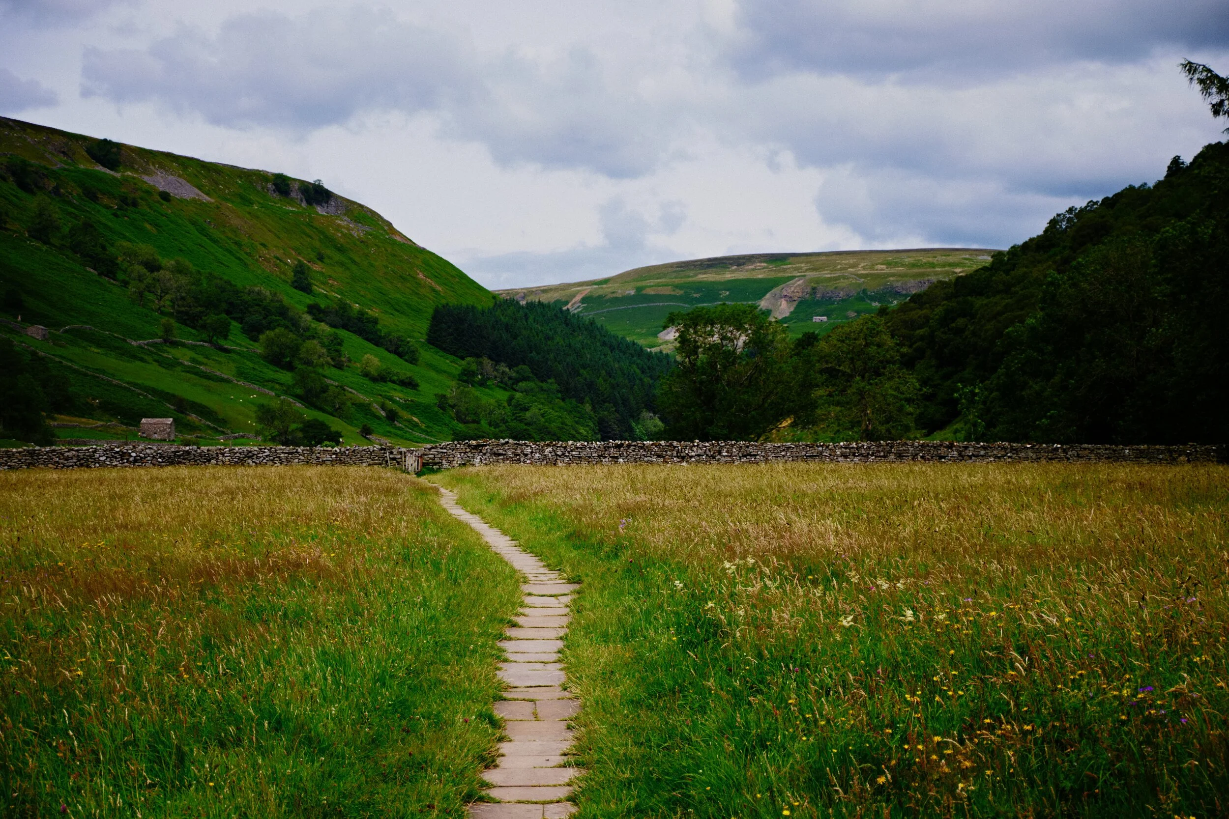  I can&rsquo;t tell if we were perhaps two weeks too early or too late to see the peak of wildflowers blooming in Swaledale. Still gorgeous regardless. 