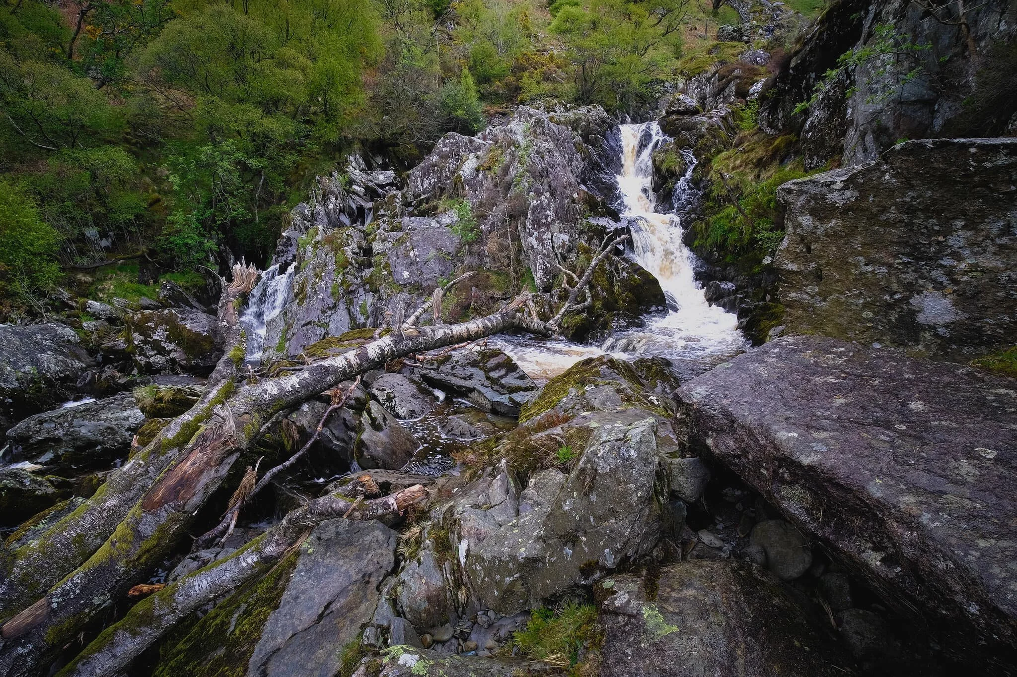 These two compositions of the falls will have to do for now. Next time, I’ll think about maybe bringing my wellies to get into the various pools for better waterfall shots.