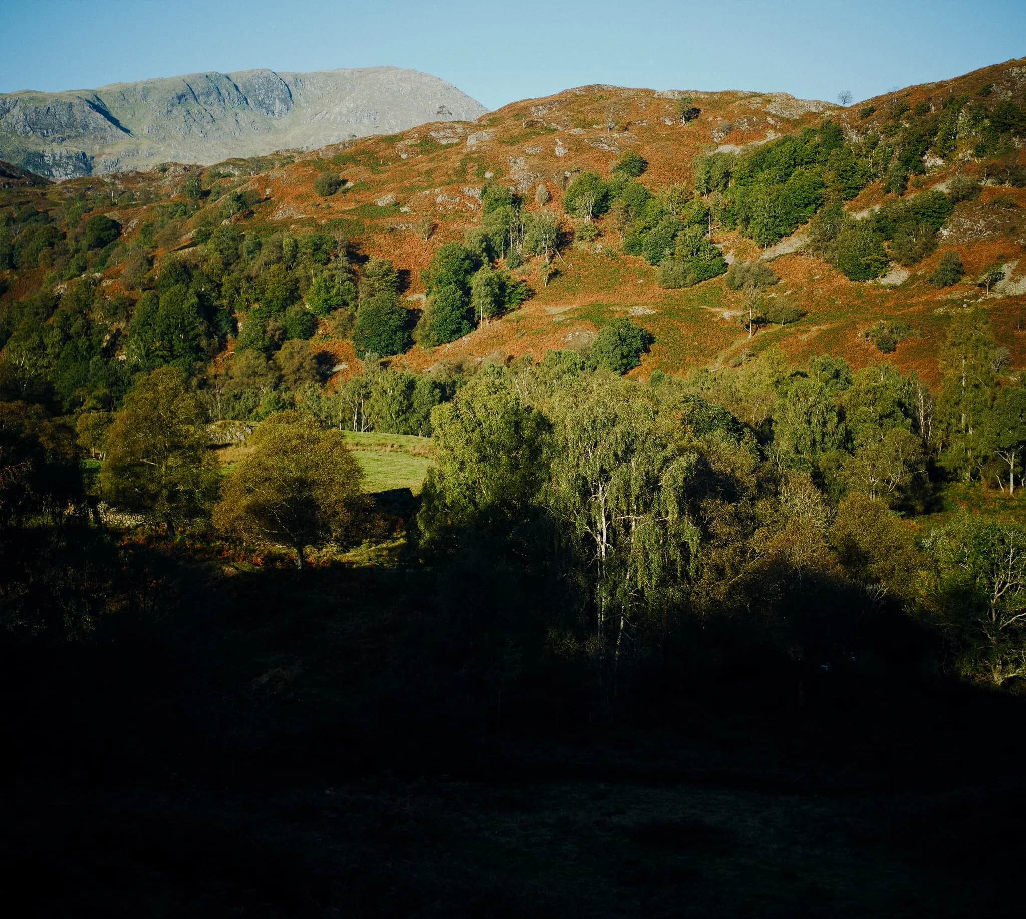  We exit the Tarn Hows circular trail onto the Cumbria Way, which rises gently towards the A593. Along the way we&rsquo;re treated to sweeping views of the Coniston Fells and their autumn colours. This is a 3-shot vertorama, stacked top to bottom, each shot a landscape frame at 35mm/f1.2. 