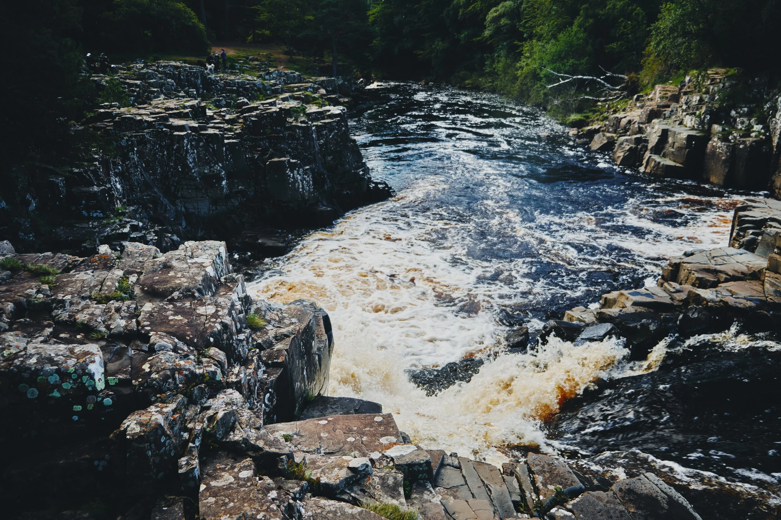 What I love about Low Force is that it’s very easy to get right next to the falls, and really feel the roaring power of the water as it crashes down, carving out chunks of land.
