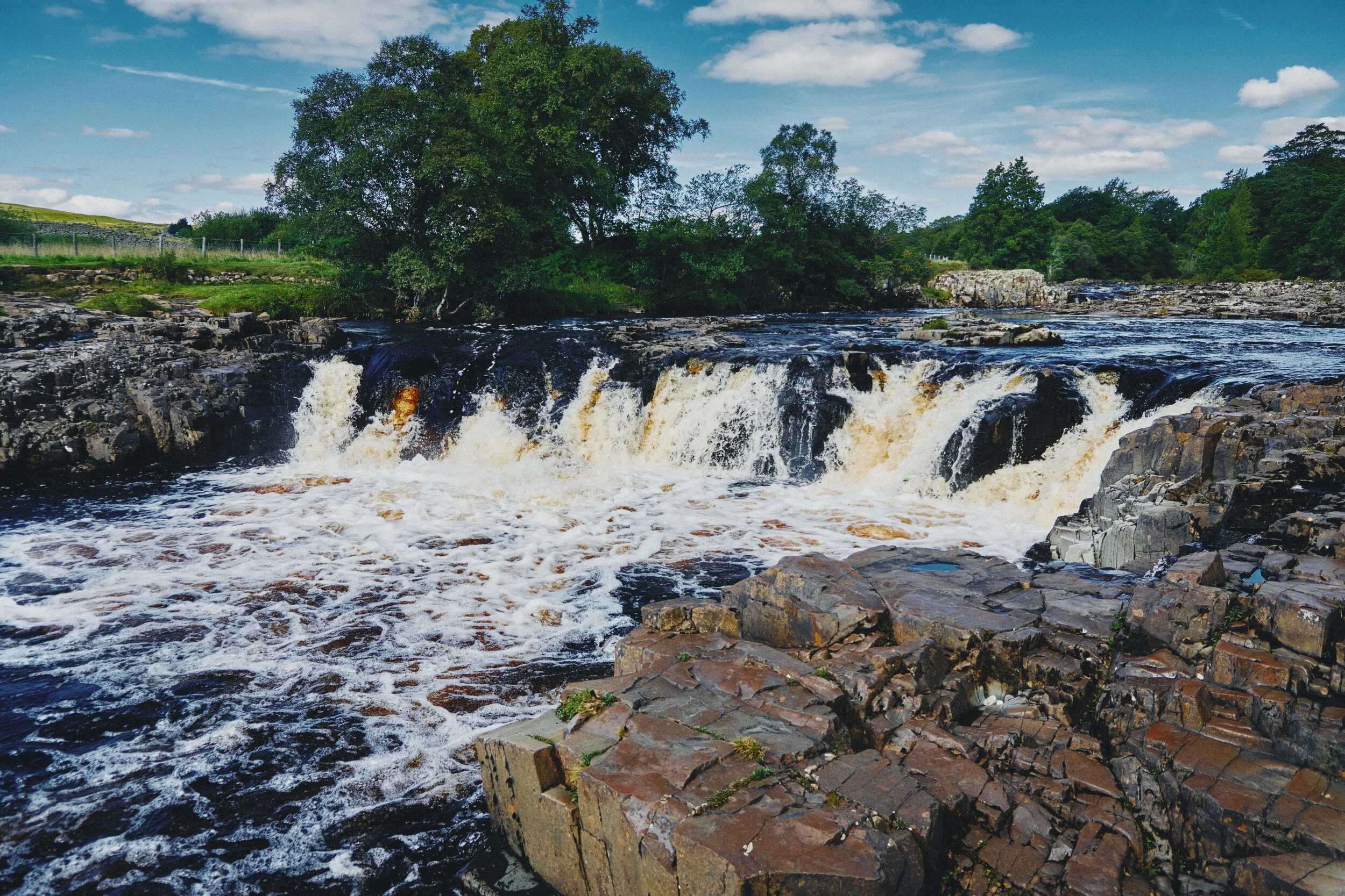 The upper section of Low Force. Just a delightful scene, on what turned out to be a beautiful day of clear light.