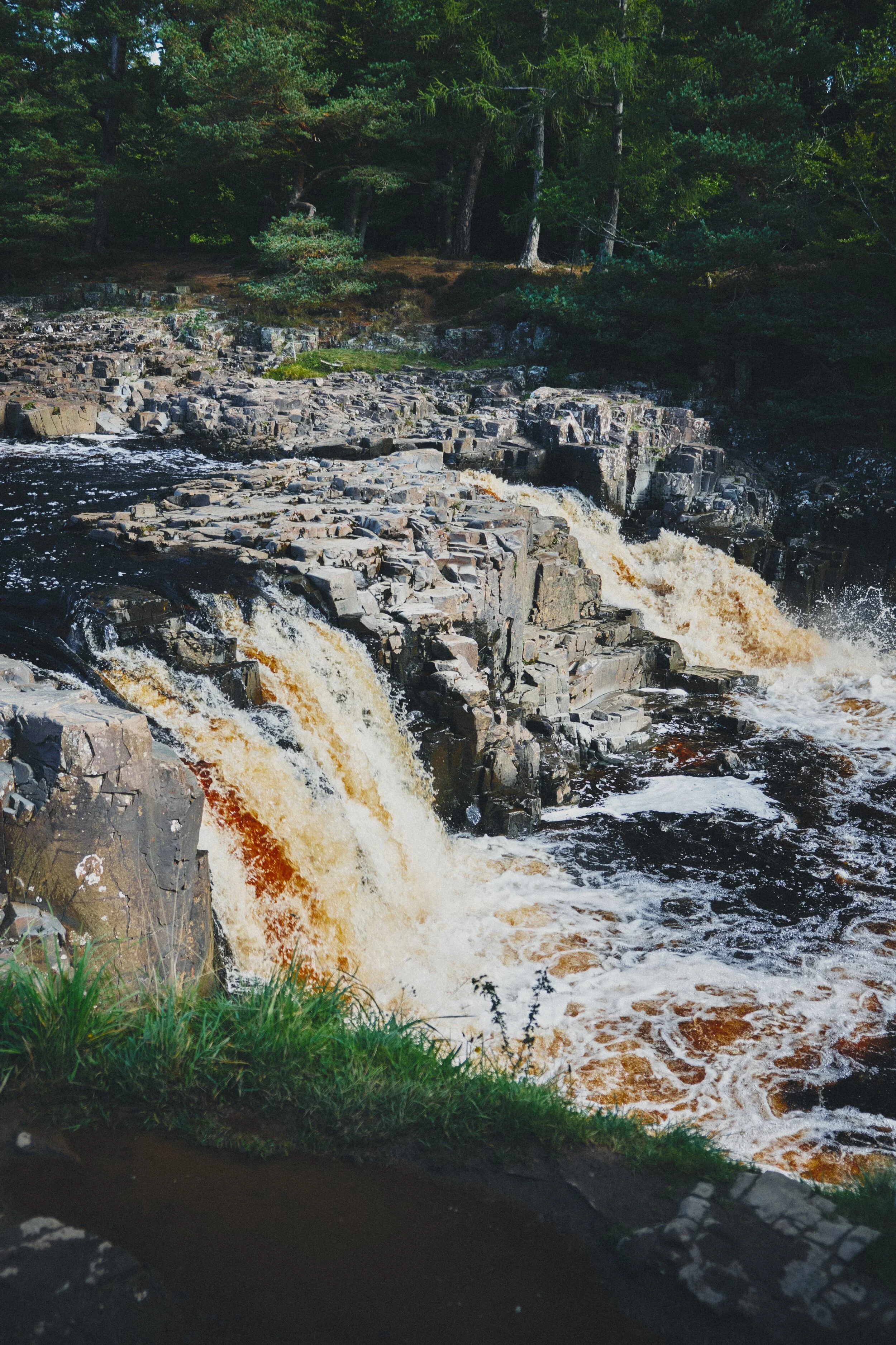 Low Force, this time from its southern banks, with soft light highlighting the central pillar that separates the falls.