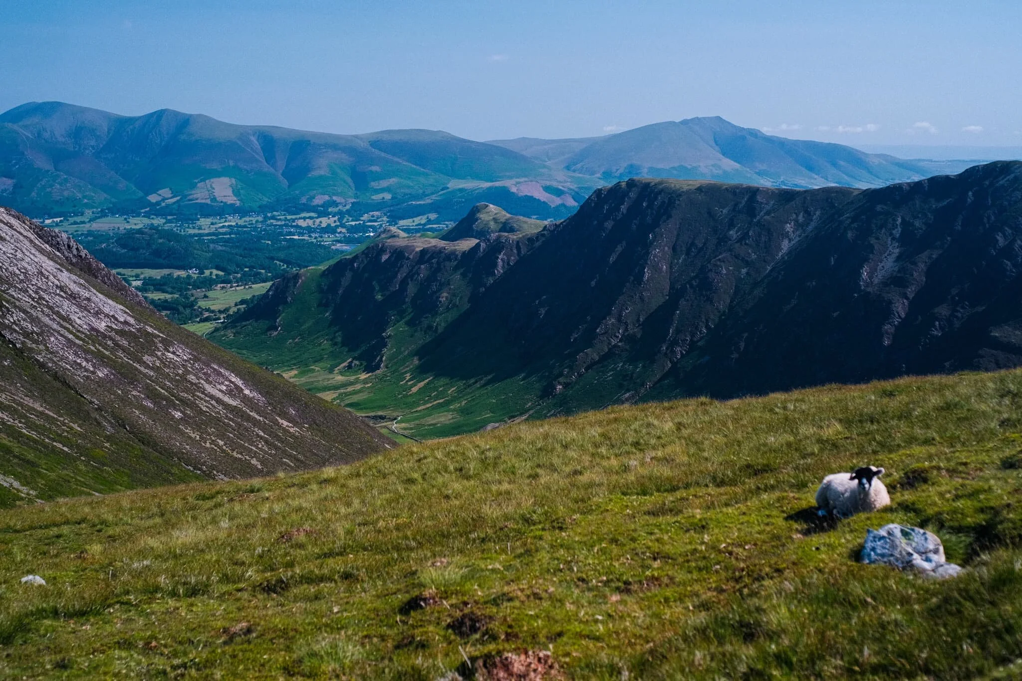 Just below Hindscarth Crags I move towards the edge to nab this composition of the High Spy/Maiden Moor ridge with the Skiddaw and Blencathra ranges in the distance. Closer to me, a Swaledale lamb chews the cud and chills.