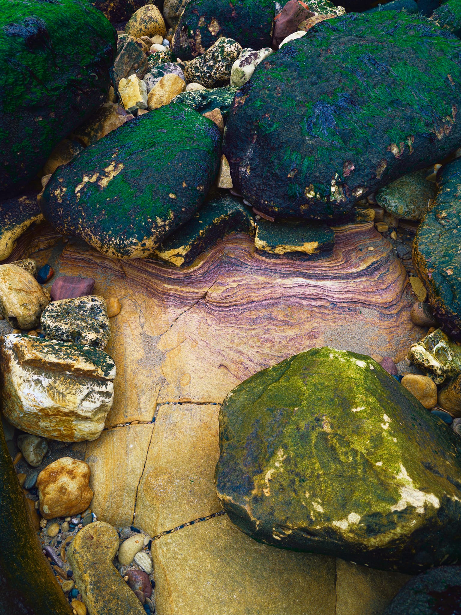 A fantastic find of an intimiate, more abstract scene. Those swirling purple and ochre bands are ancient soft-sediment, folded by long-gone storms before the rock had even set. Iron oxides have locked the colours in place, seaweed-draped Carboniferous boulders framing the scene above.