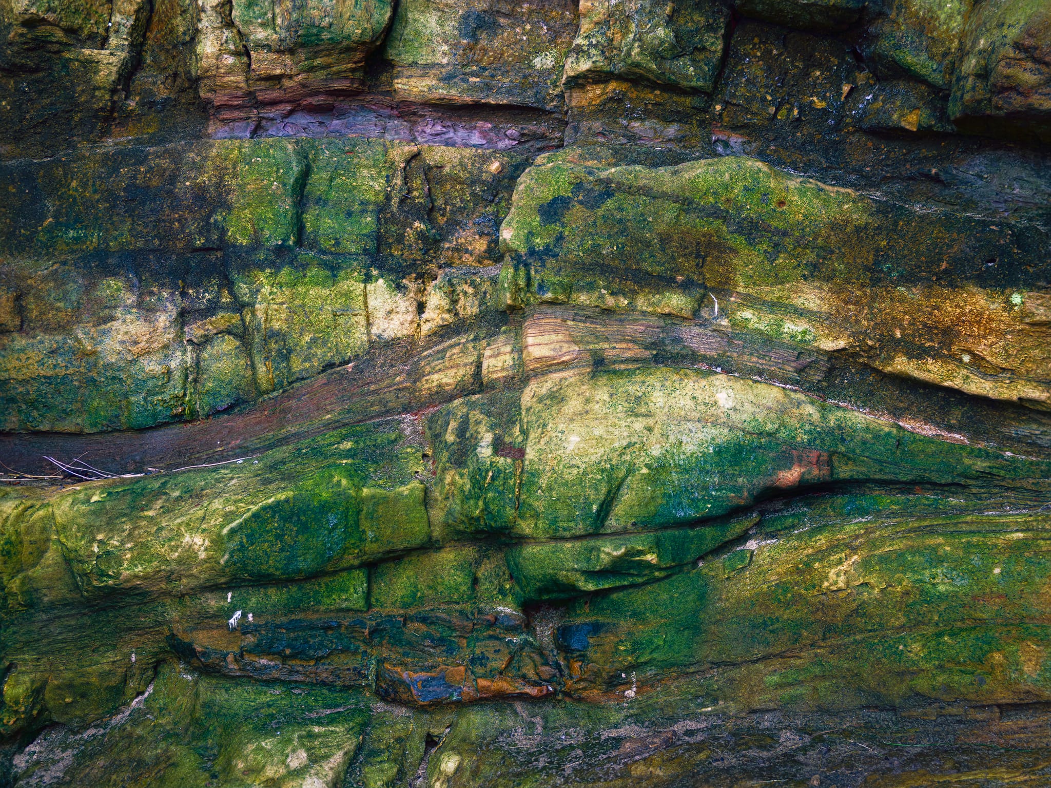 It’s crazy what the elements and lots of time can do to rocks. Here, layered Carboniferous sandstones, cross-bedded by ancient currents and fractured by millennia of stress, blaze green with algae. A haematite-rich seam bleeds purple near the top.