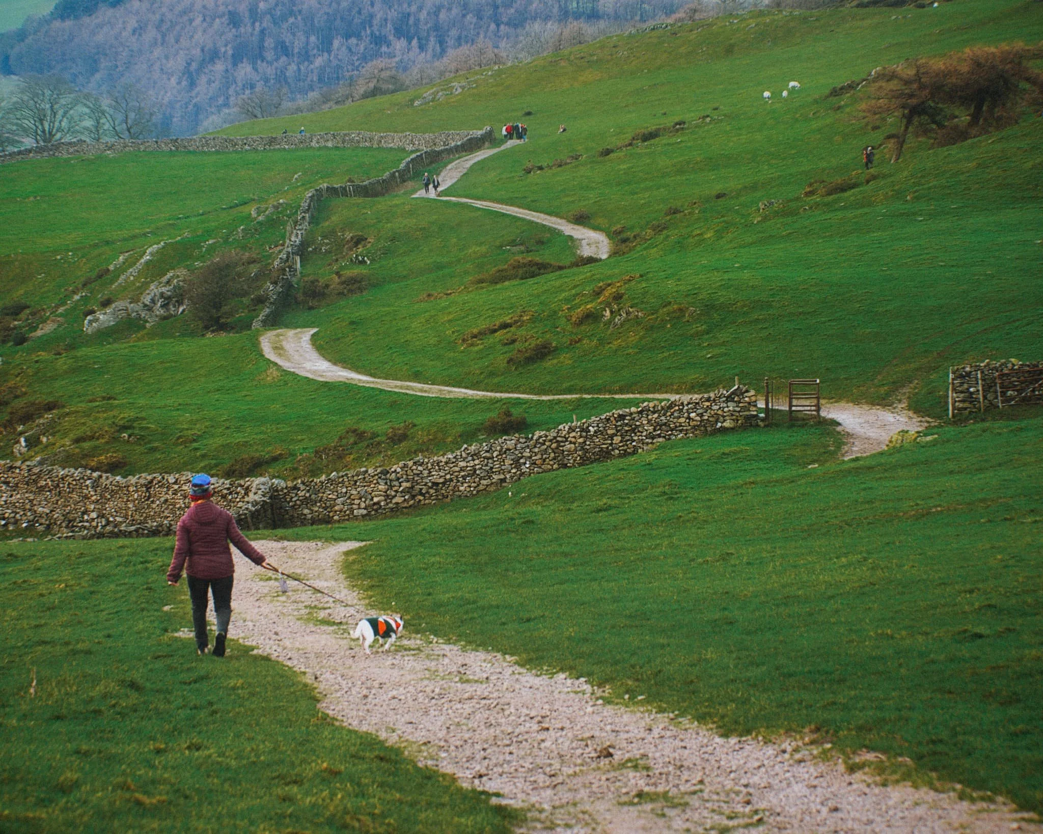  The way back to Ulverston town. You know me, I can&rsquo;t resist a winding path.  