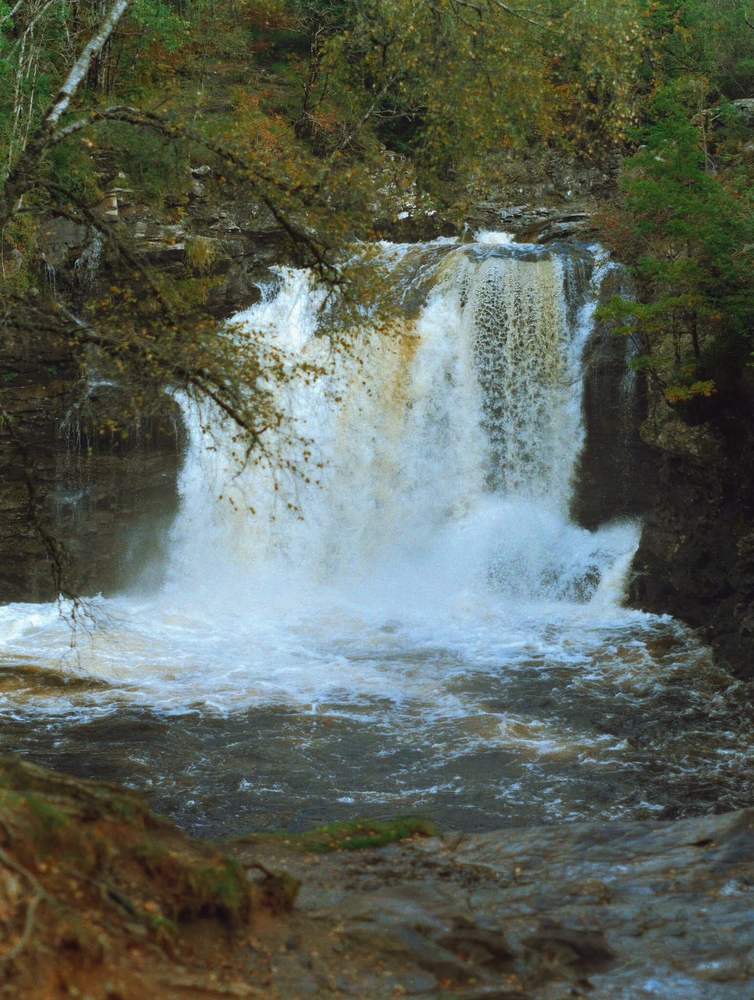  A 5-image vertorama on my 55mm lens reveals the full extent of the Falls of Falloch. After a week or so of low pressure systems bringing near-constant rainfall, the waterfall was positively roaring. 