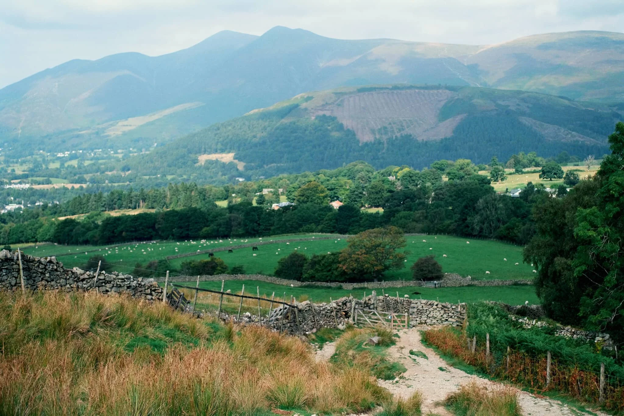  By now the full profile of Skiddaw, its fells, and the smooth profile of Latrigg are fully exposed. It&rsquo;s turning out to be a crackin&rsquo; day. 