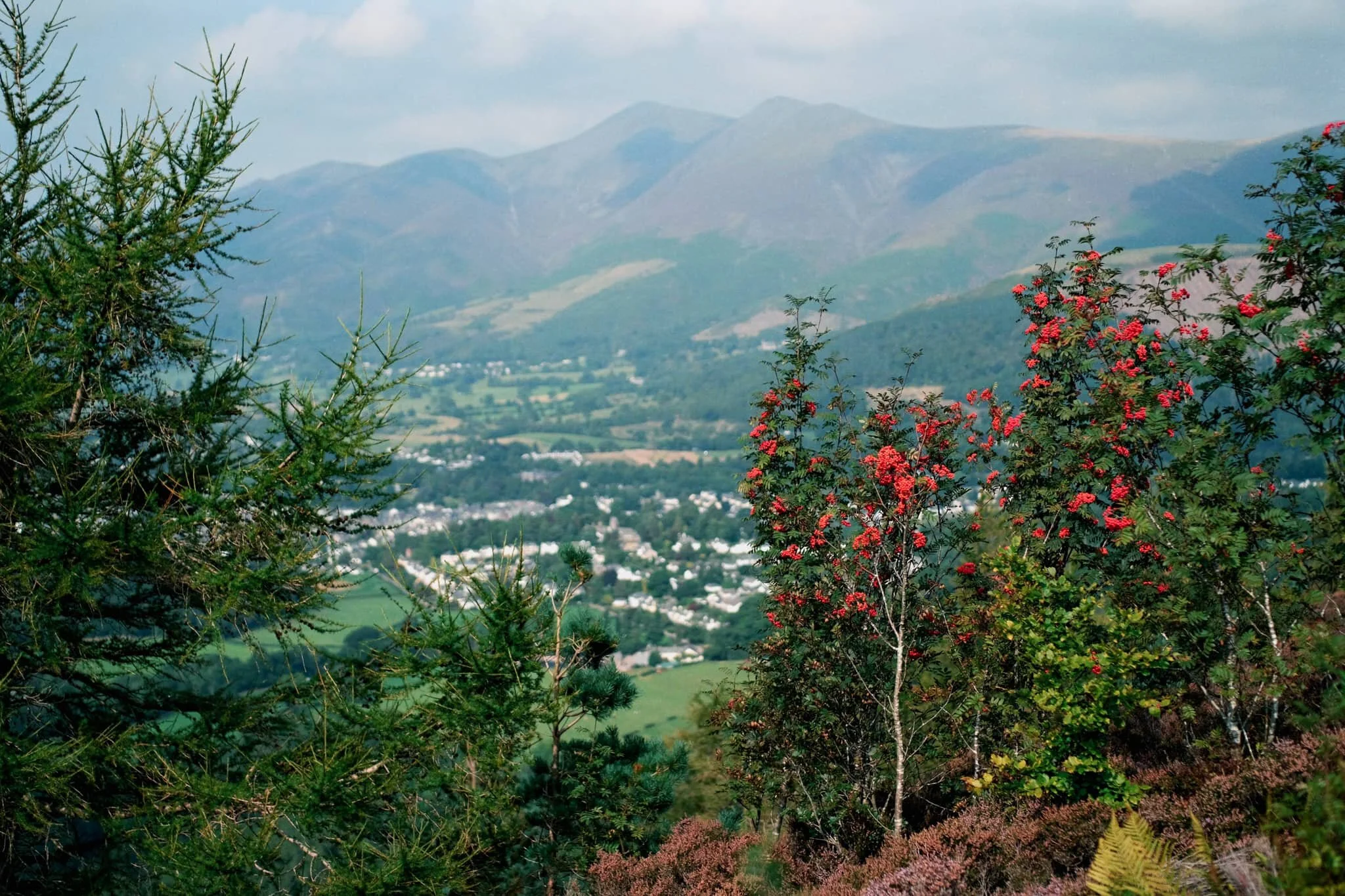  As more sun comes out, I spot another framing opportunity full of colour. 