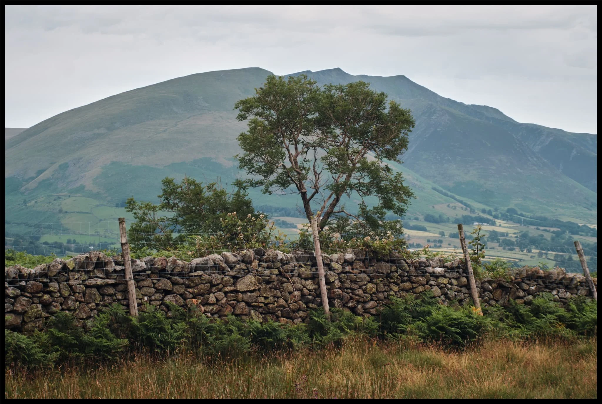  On the way back down the fell, I couldn&rsquo;t resist revisiting this composition. 