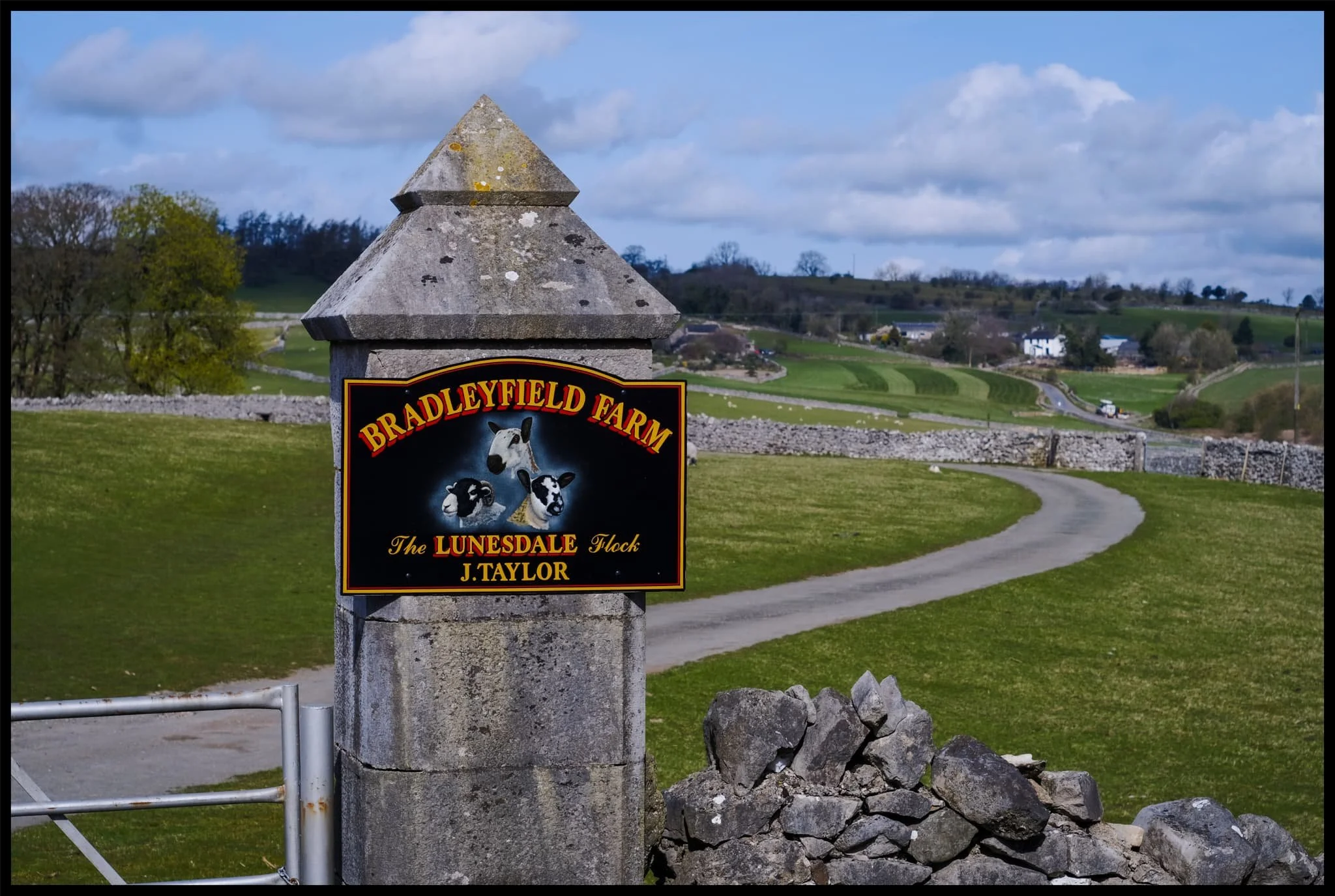  Following Brigsteer Road past our usual route up the back of  Scout Scar . This farm will be full of lambs now, I imagine. 