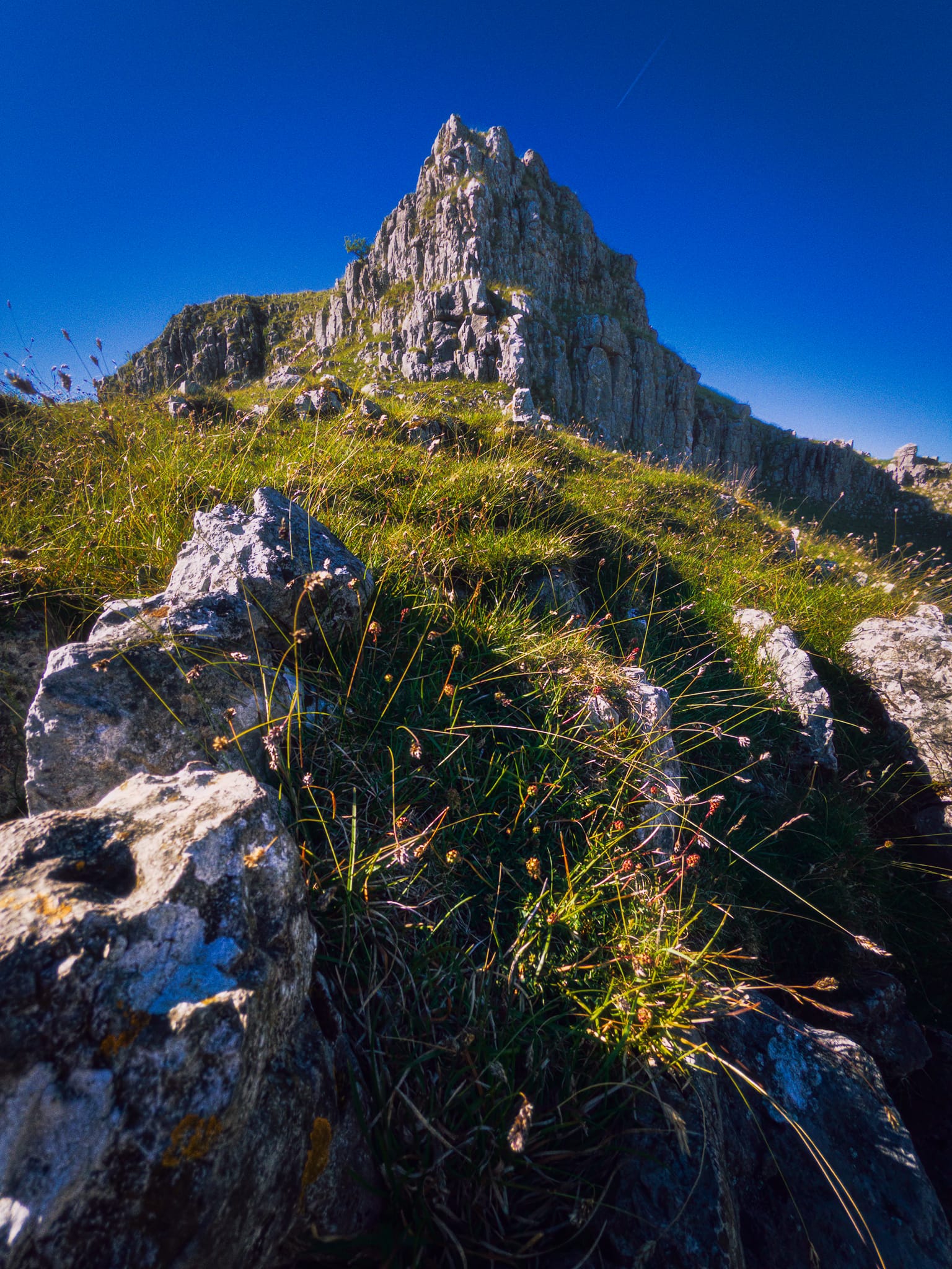 Ing Scar Crag always provides a lovely opportunity to play with compositions.