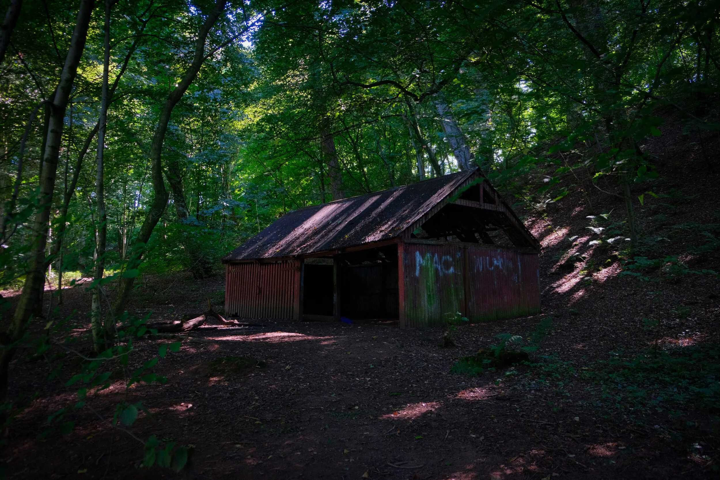  No idea what this is or why it&rsquo;s in an ancient woodland… (Provia, ISO800, f/3.0, 1/20sec. @ 18mm) 