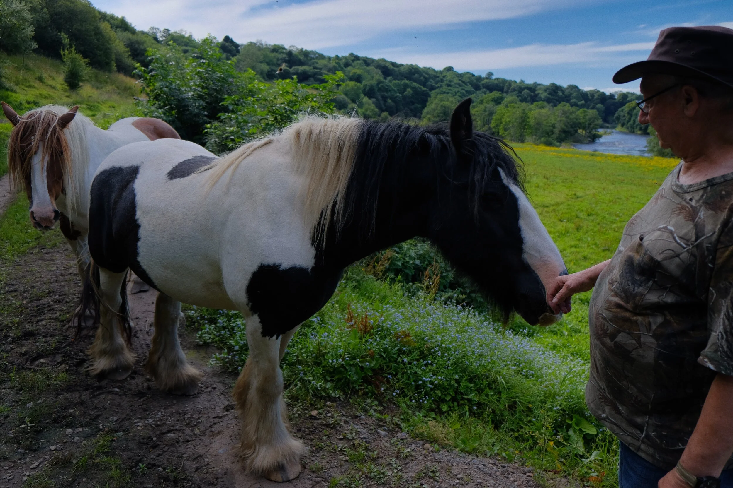  Climbing away from the river back up to the country lanes, we came across two very curious horses (Shire? Clydesdale? Couldn&rsquo;t say). They were cute, we made friends (Astia, ISO800, f/3.2, 1/800sec. @ 18mm) 