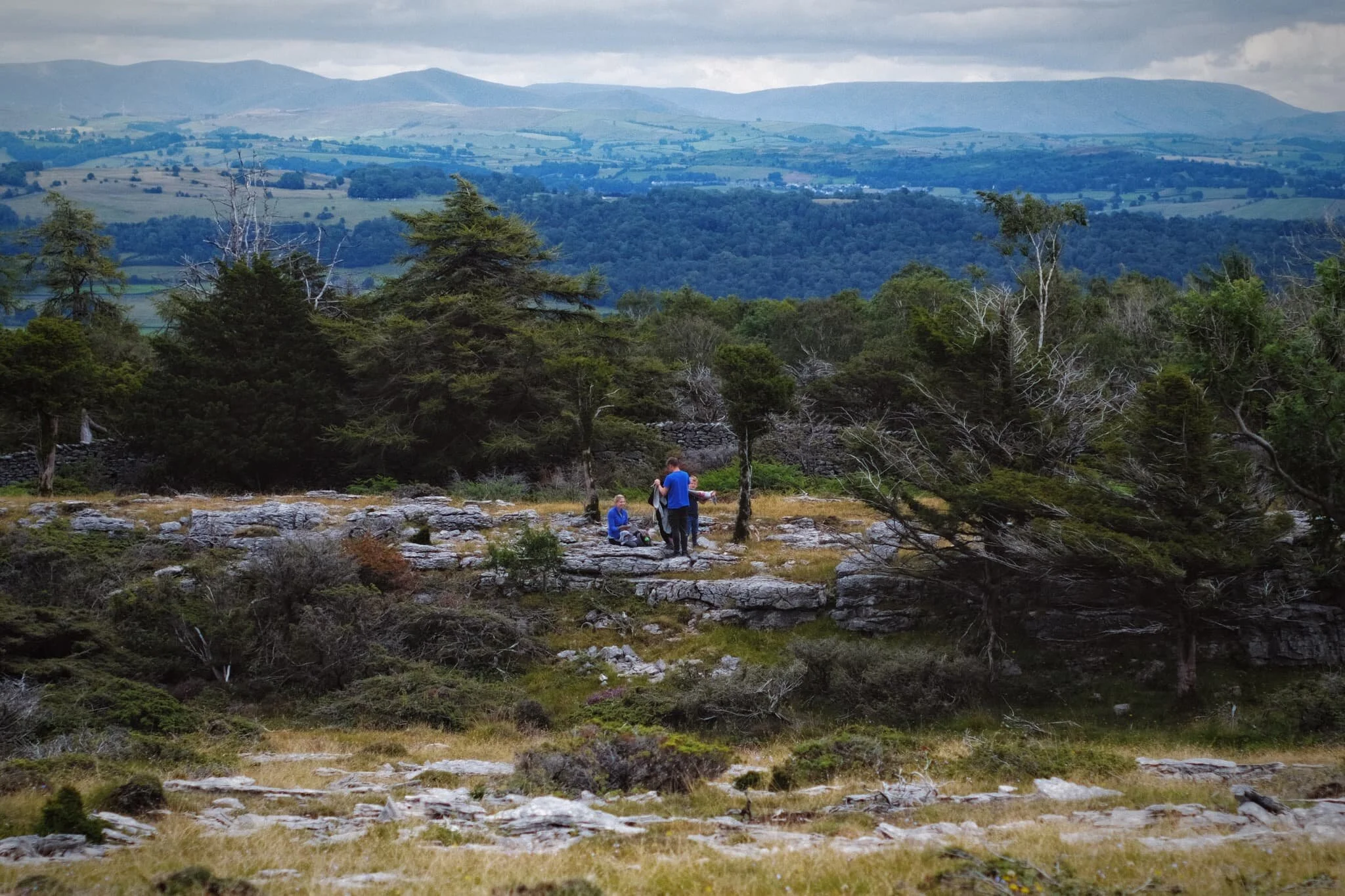  As we gain height the views of the surrounding fells open up. A young family play around the limestone escarpment that forms a natural boundary for the Nature Reserve. In the hazy distance lies the  Howgills . 