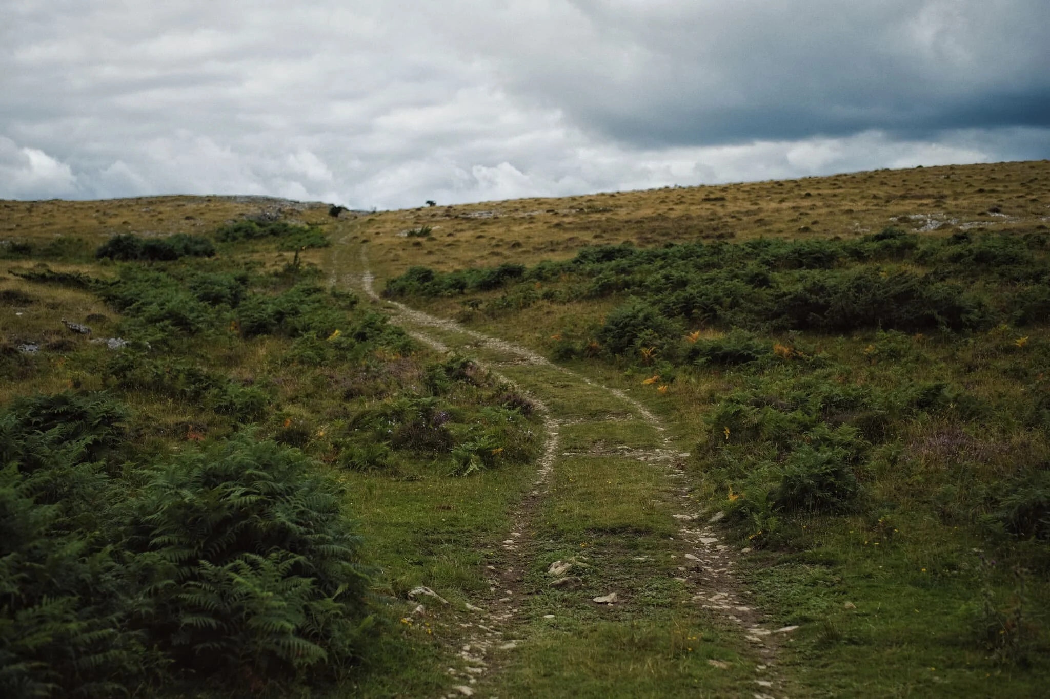  We exited the Township Plantation and followed the trail east up onto the open fell. 