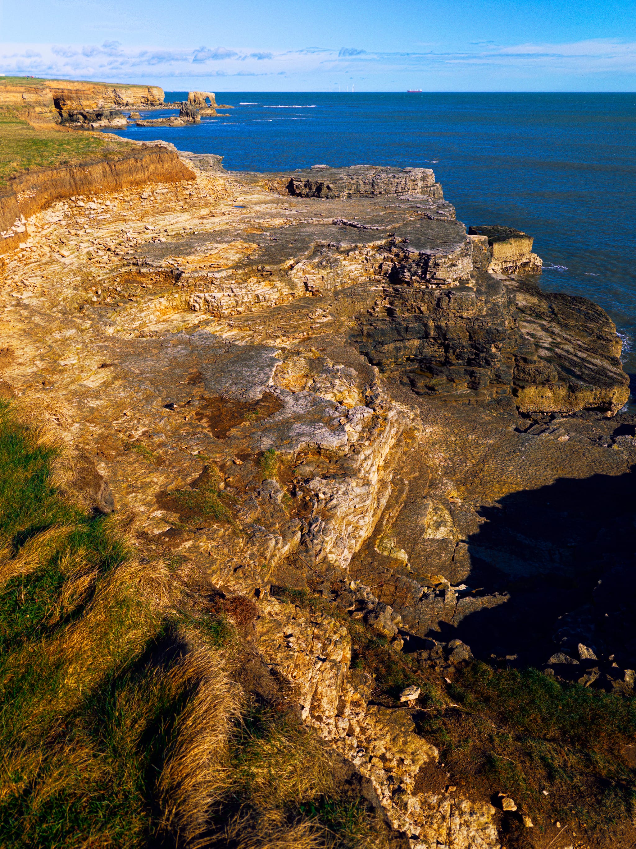 The geology underlying this area of Tyne & Wear consists of magnesium limestone. This rock contains a lot of Magnesium Carbonate (MgCO3). The magnesium makes the rock a bit more resistant to weathering and often gives it a yellowish or creamy buff colour compared to the blue-grey of the Dales limestone.